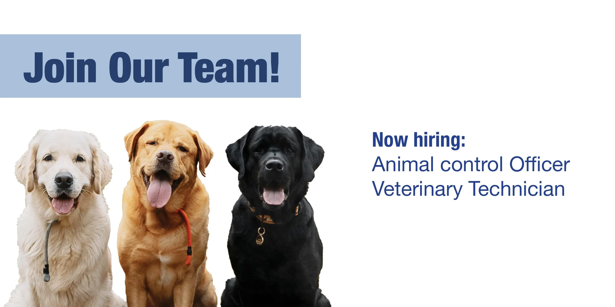 Join Our Team Graphic - ACO and Vet Tech.jpg