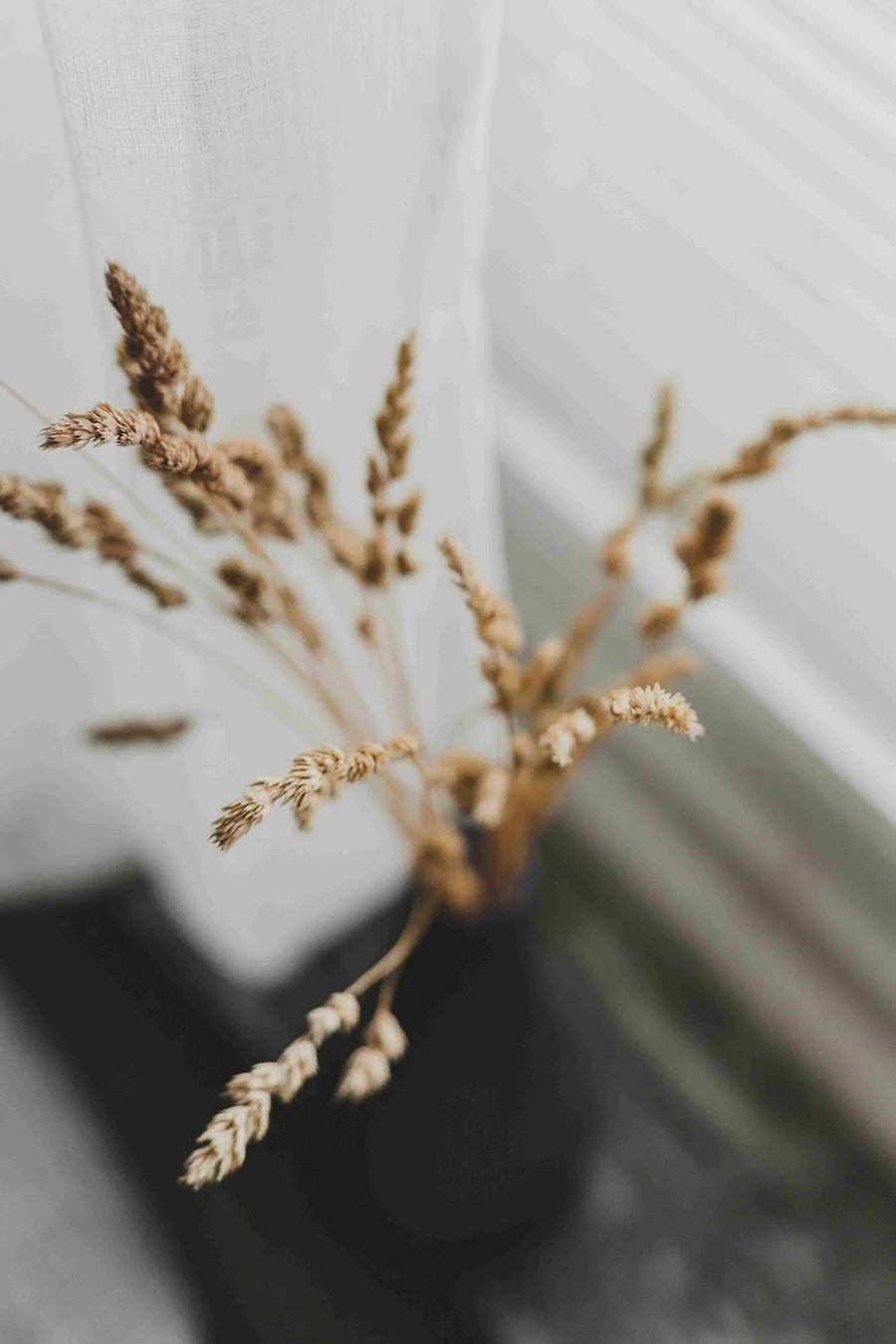 Close-up of dried beige grass or wheat stems in a black vase against a blurred light-colored background.