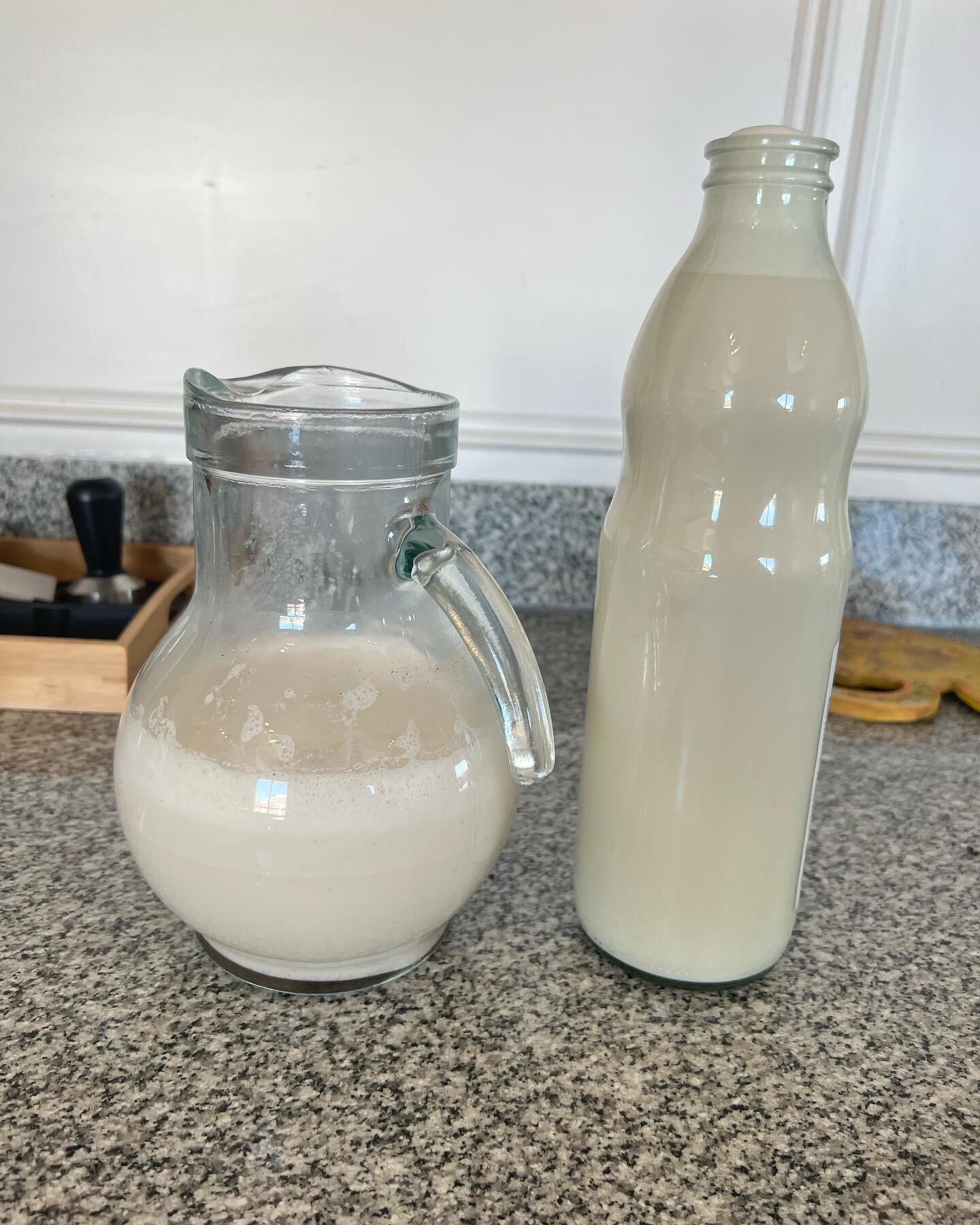 Fist time making and trying oat milk. It is so easy to make and unlike almond milk you don&rsquo;t need to soak them. So great for making last minute. What you&rsquo;ll need is:
✨1 cup oats (gf if possible)
✨6 cups cold filtered water
✨Dash of sea sa