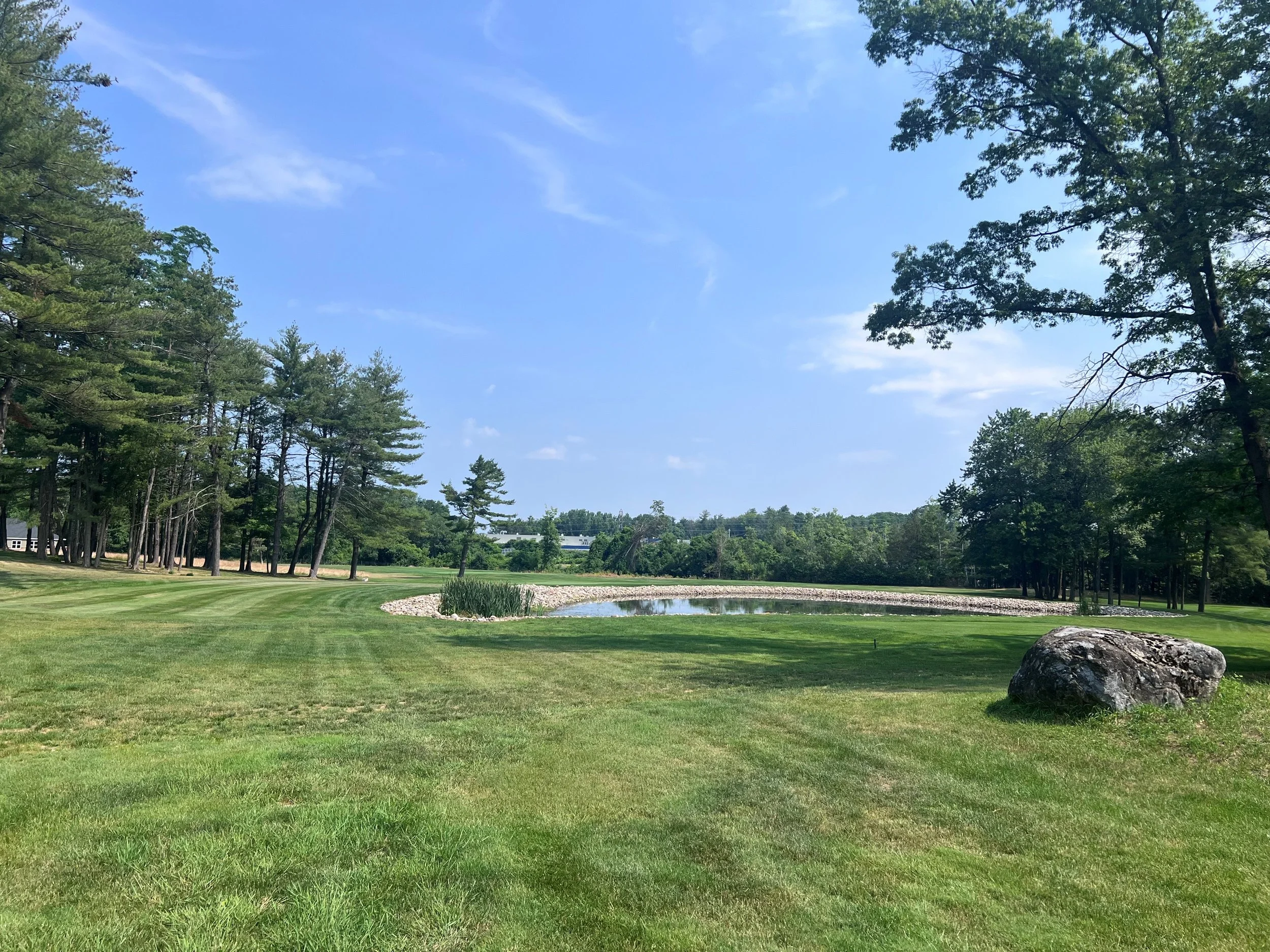 A scenic view of a park with a well-maintained grassy area, a small pond with rocks along its edge, tall trees lining the perimeter, and a bright blue sky with scattered white clouds.