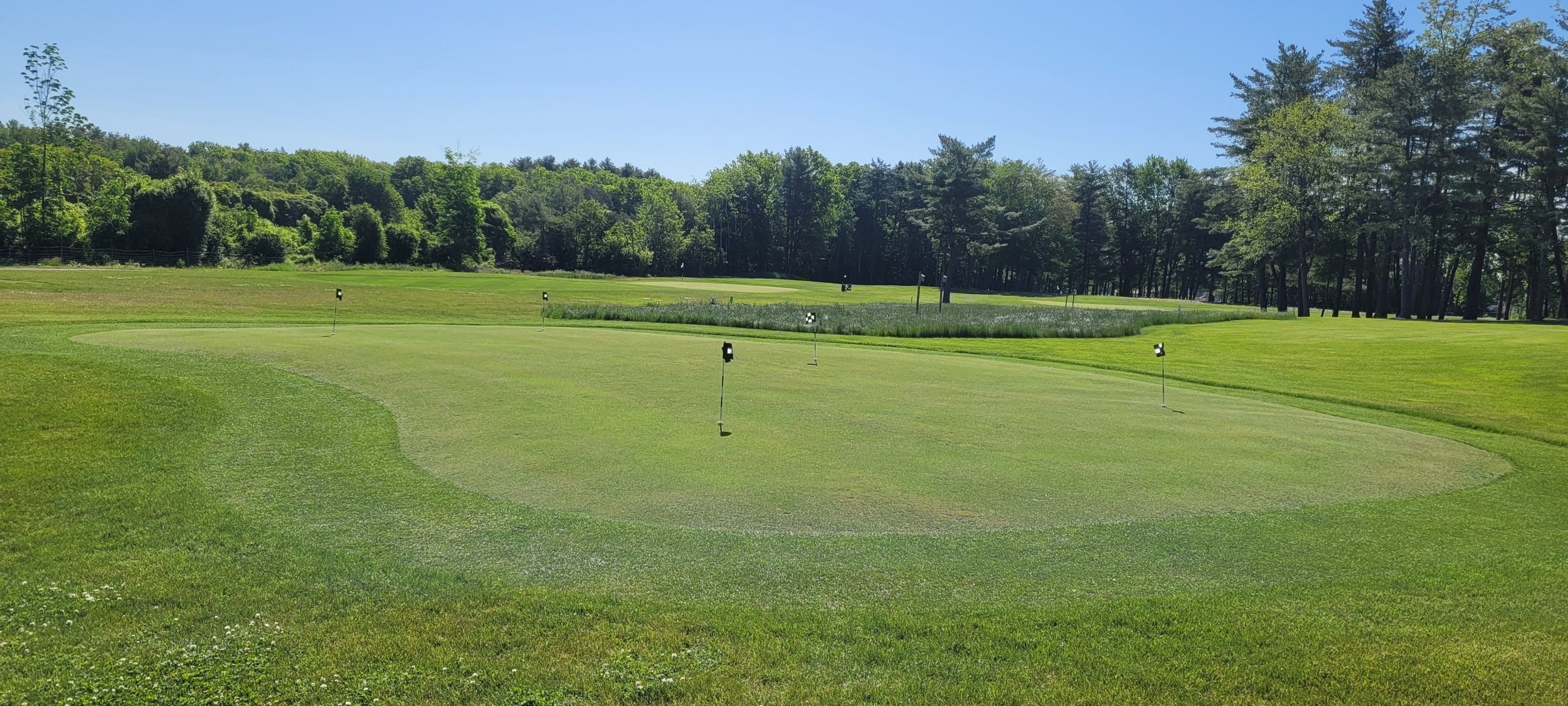 Golf course with multiple putting greens, flags, and surrounding trees on a sunny day.