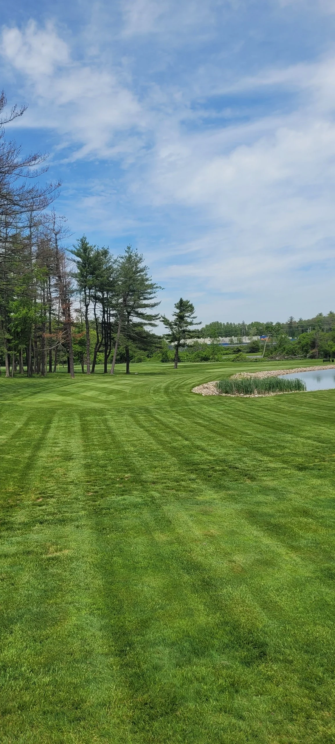 A lush green golf course with neatly mowed fairways and a pond surrounded by rocks and reeds, with trees and a blue sky with clouds in the background.