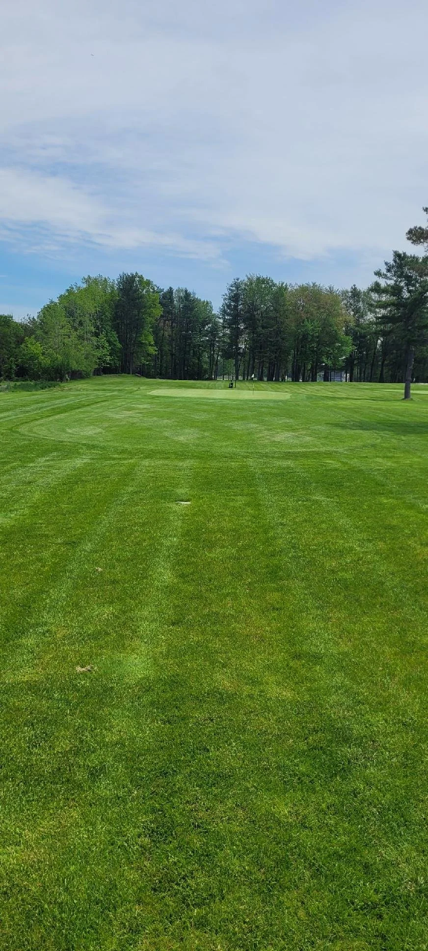 A well-maintained golf course with green grass, a flagstick, and trees in the background under a partly cloudy sky.