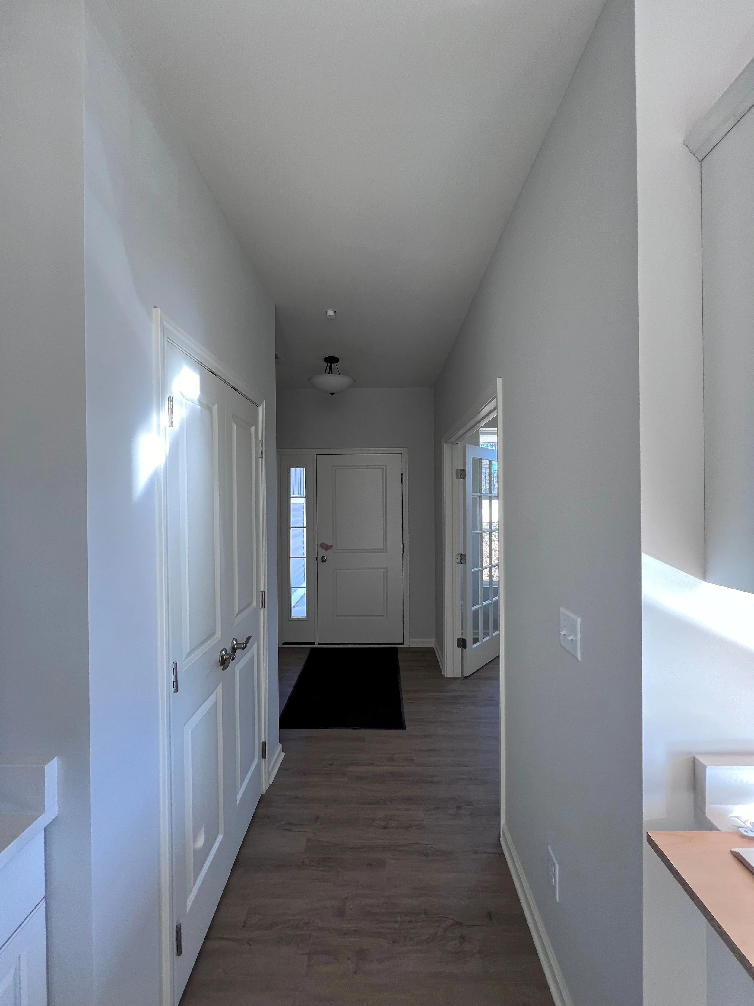 Hallway with white doors and windows, wood flooring, and a black rug at the end, lit by natural light.