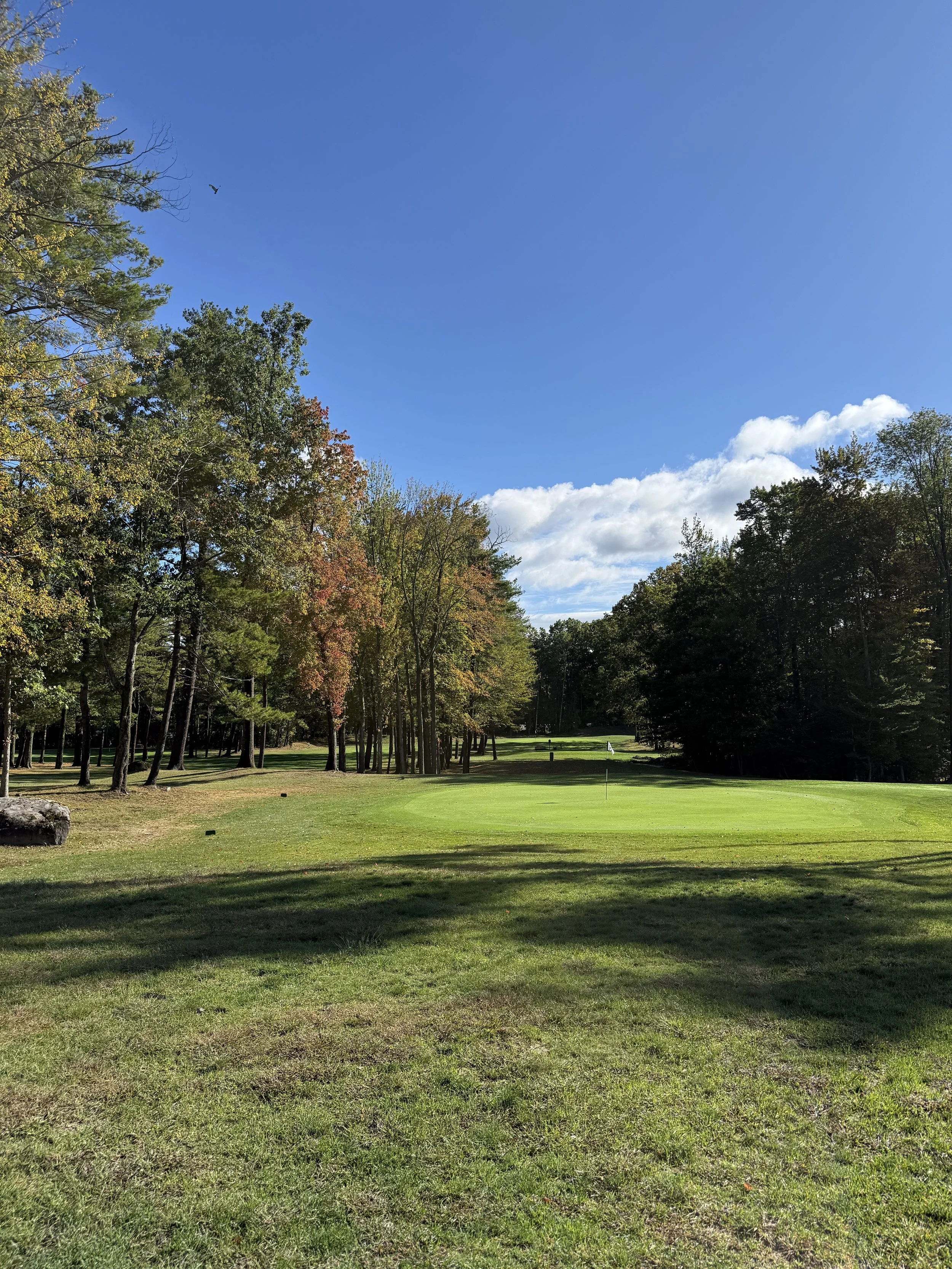 A lush green golf course with a putting green, surrounded by trees with autumn-colored leaves under a bright blue sky with some clouds.
