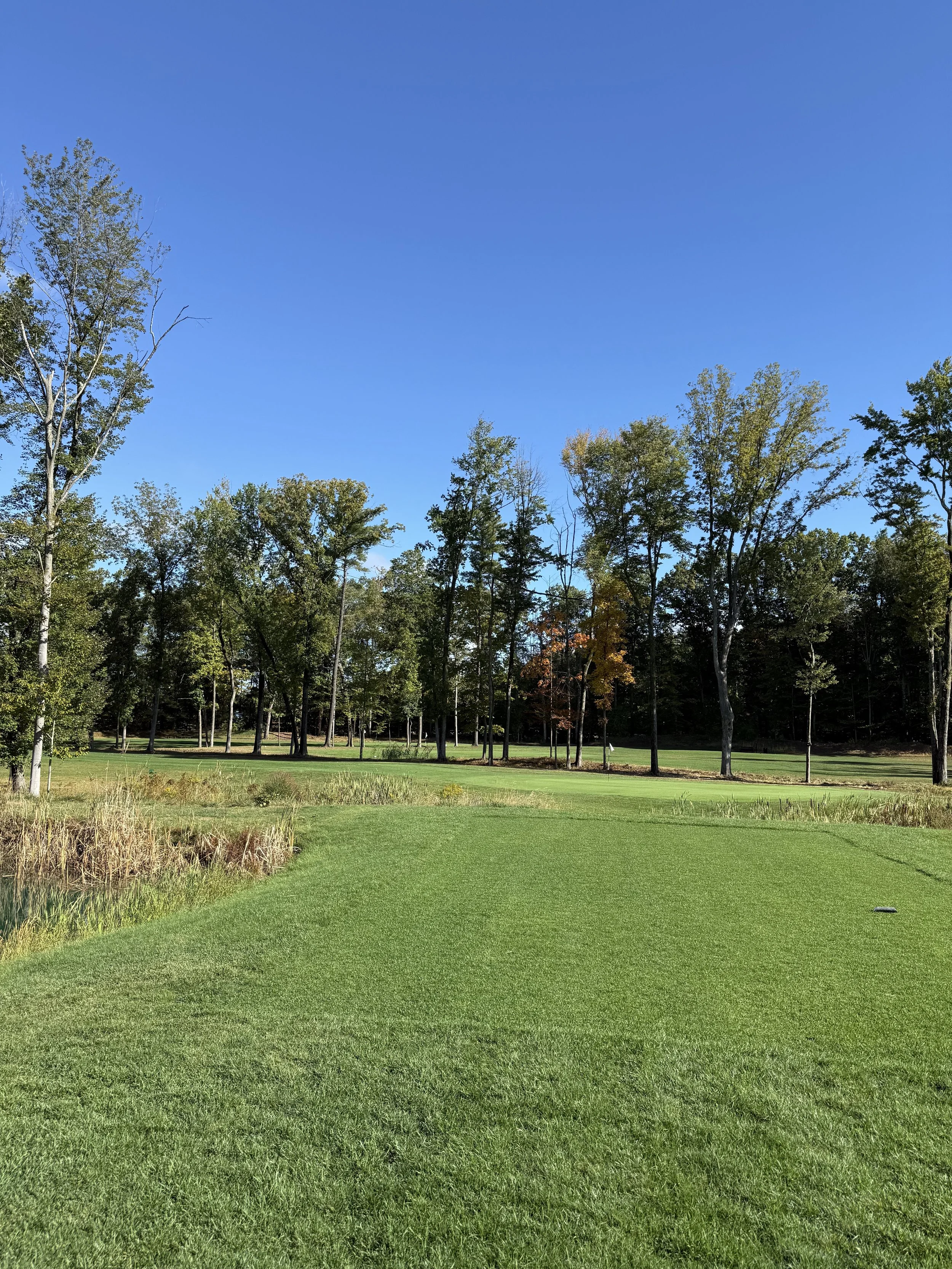 A golf course with vibrant green grass, surrounded by trees under a clear blue sky.