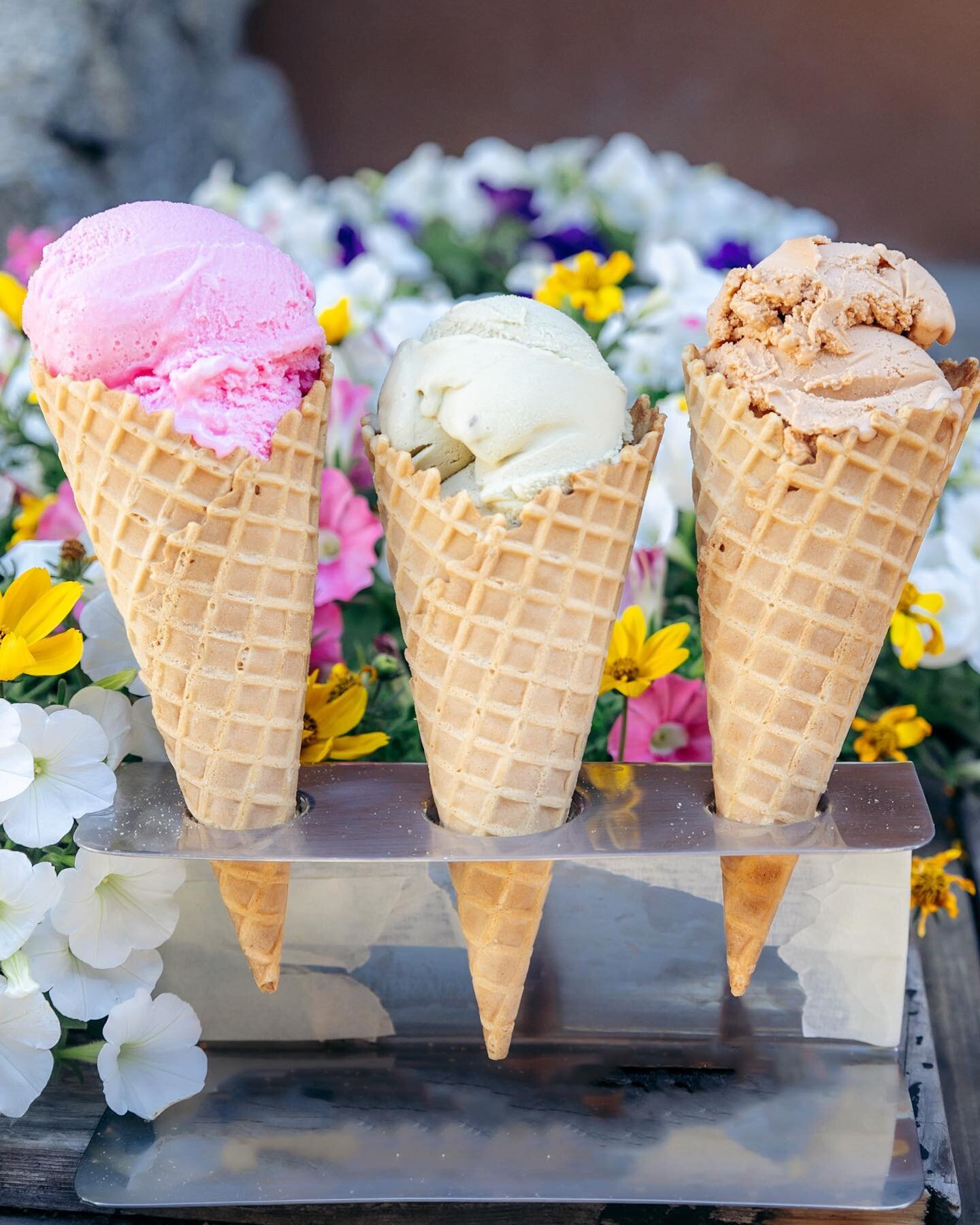 It&rsquo;s the first day of spring! Warm weather is just around the corner, but that doesn&rsquo;t mean you have to wait for our house-made gelato! Pop in today to grab a scoop 🙂🍦