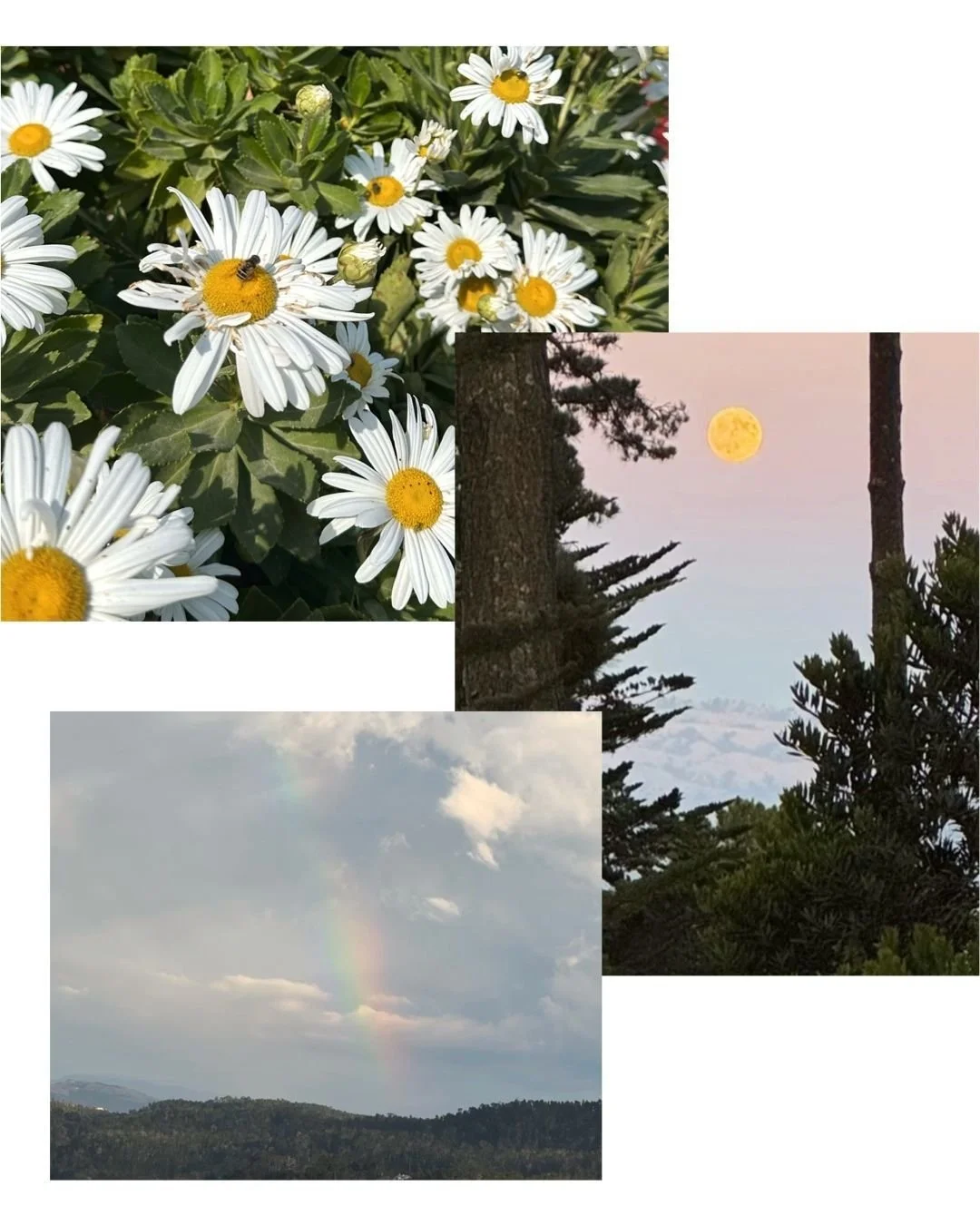 &quot;Moonlight is sculpture; sunlight is painting.&rdquo; &mdash;Nathaniel Hawthorne

The Harvest Moon is a powerful reminder of a year's culmination&mdash;reaping, completion, and bounty. Perhaps the bounty is in the beauty you've created or the fr