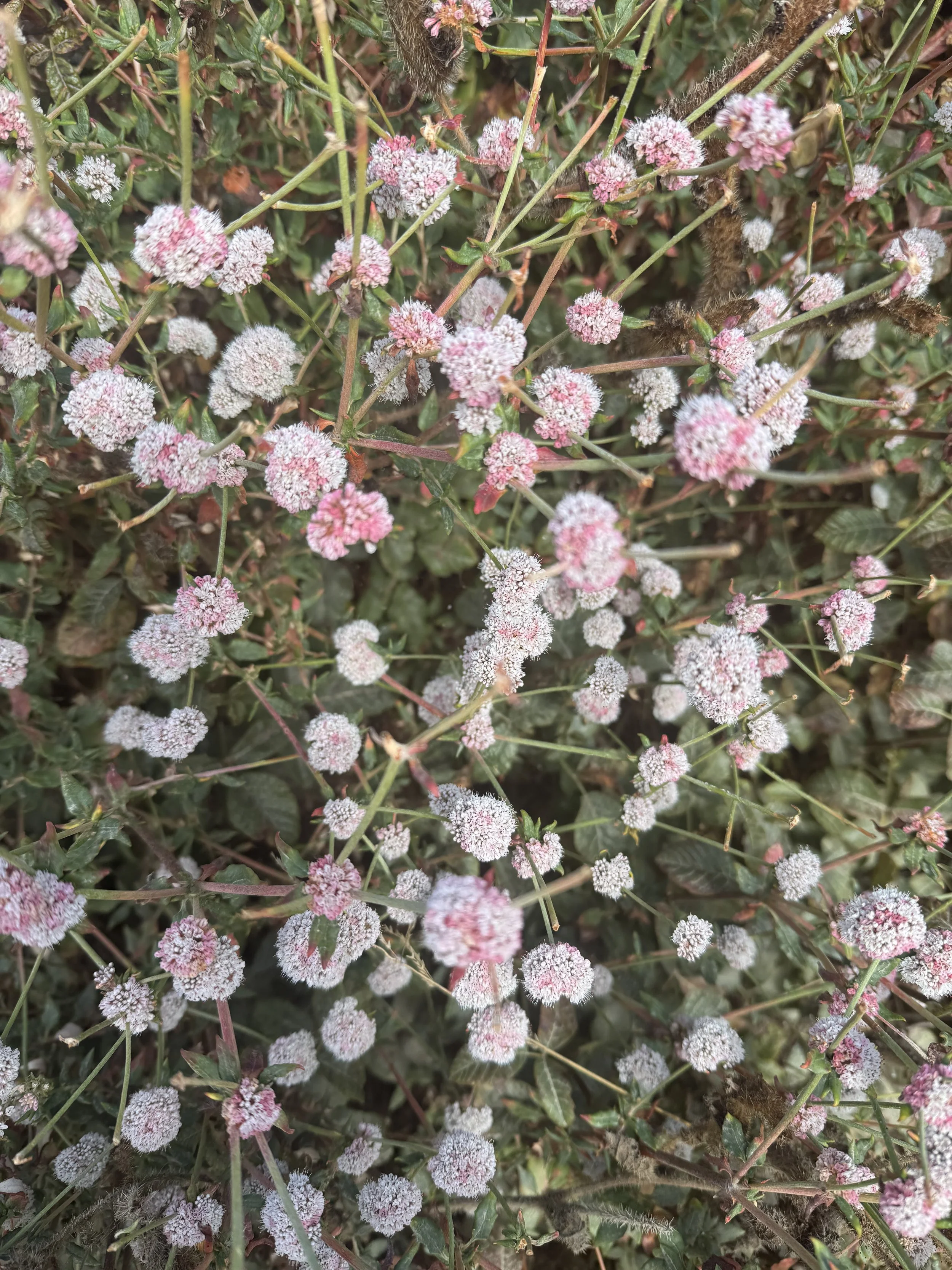 Giving and Receiving