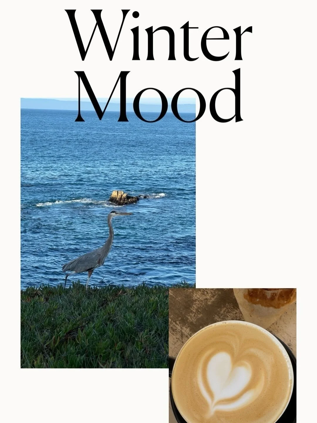 Winter is one of my favorite seasons in Carmel. Cozy nights, a slower pace, holiday lights, warm food. My favorite places become even more precious to visit during the season, as they add dashes of whimsy and holiday cheer. I wrote more about winteri