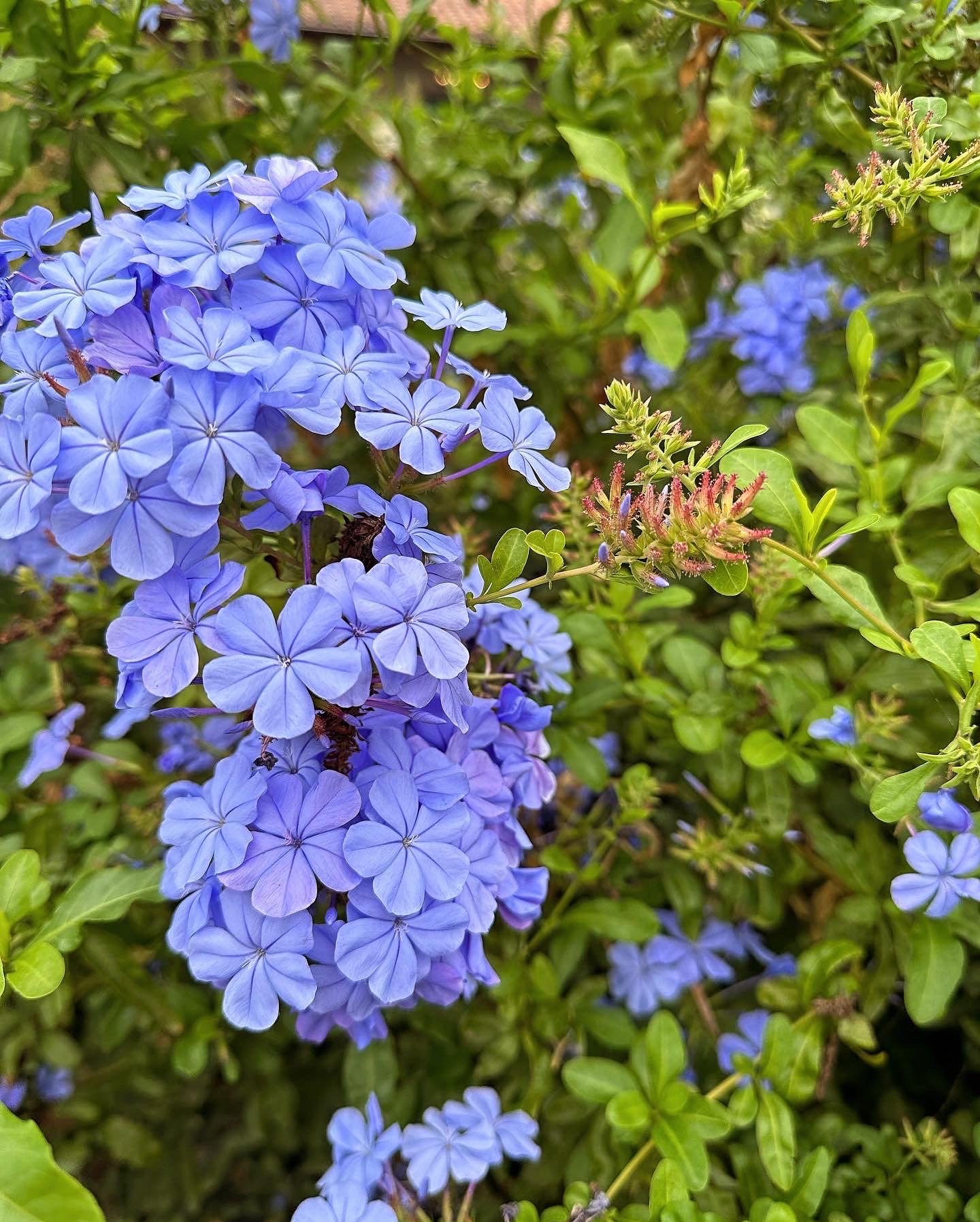 Spiritual journaling looks good on you