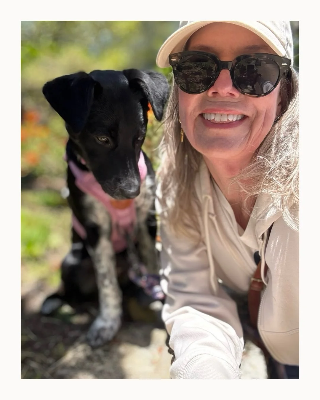 &ldquo;In the spring, at the end of the day, you should smell like dirt.&rdquo; &mdash;Margaret Atwood

Everything is coming up blue, green, and sunshine yellow. Pax found a new pack at City Hall today.

#adoptdontshop #centralcoast #california #hear
