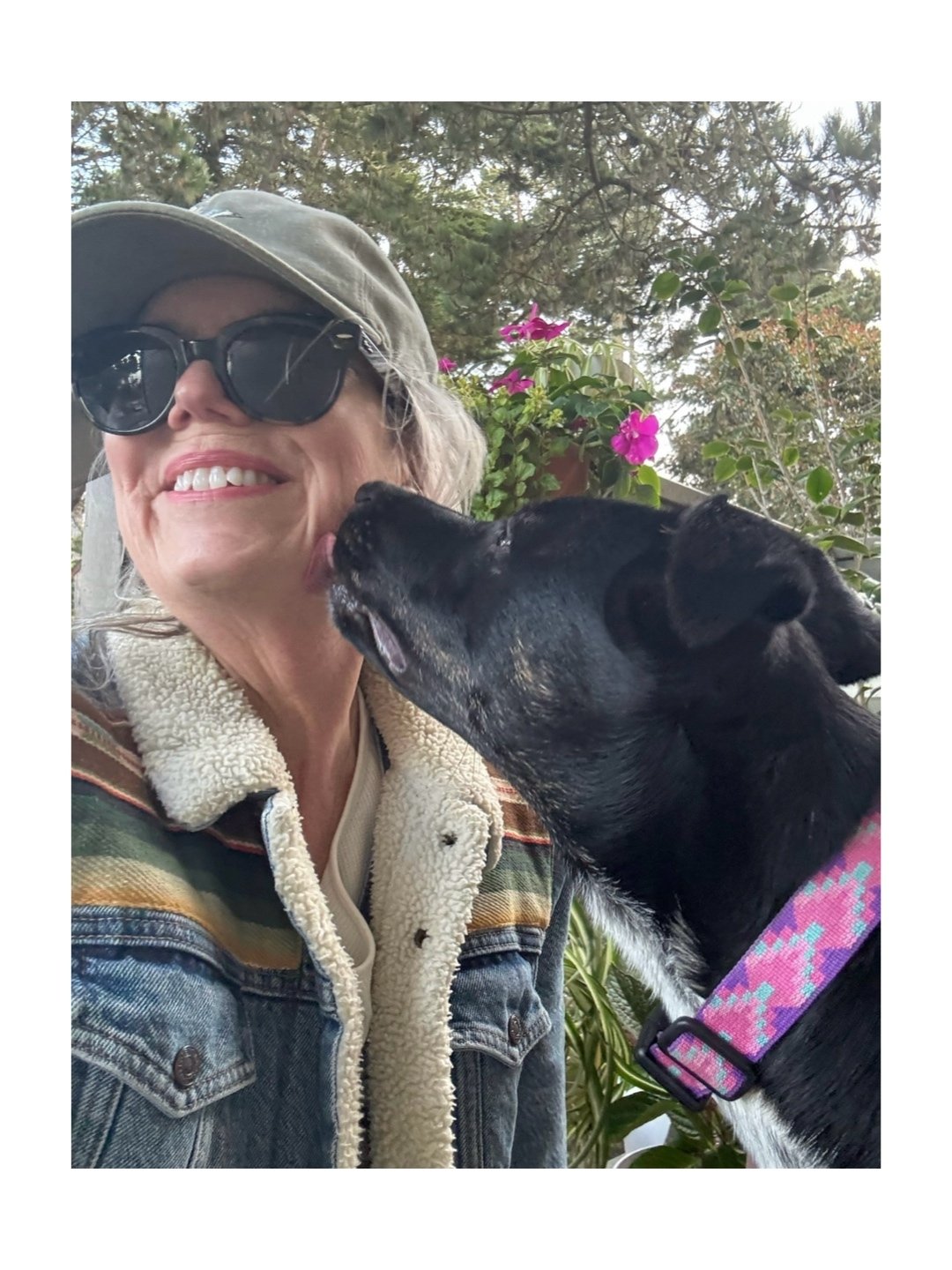 Rounding the corner of 7 months and the blue heeler girl continues to grow! She's kind of like living with a sour patch kid, some interesting new behaviors, but mostly sweet and cuddly.

#centralcoast #california #rescuedog #adoptdontshop #heartcente