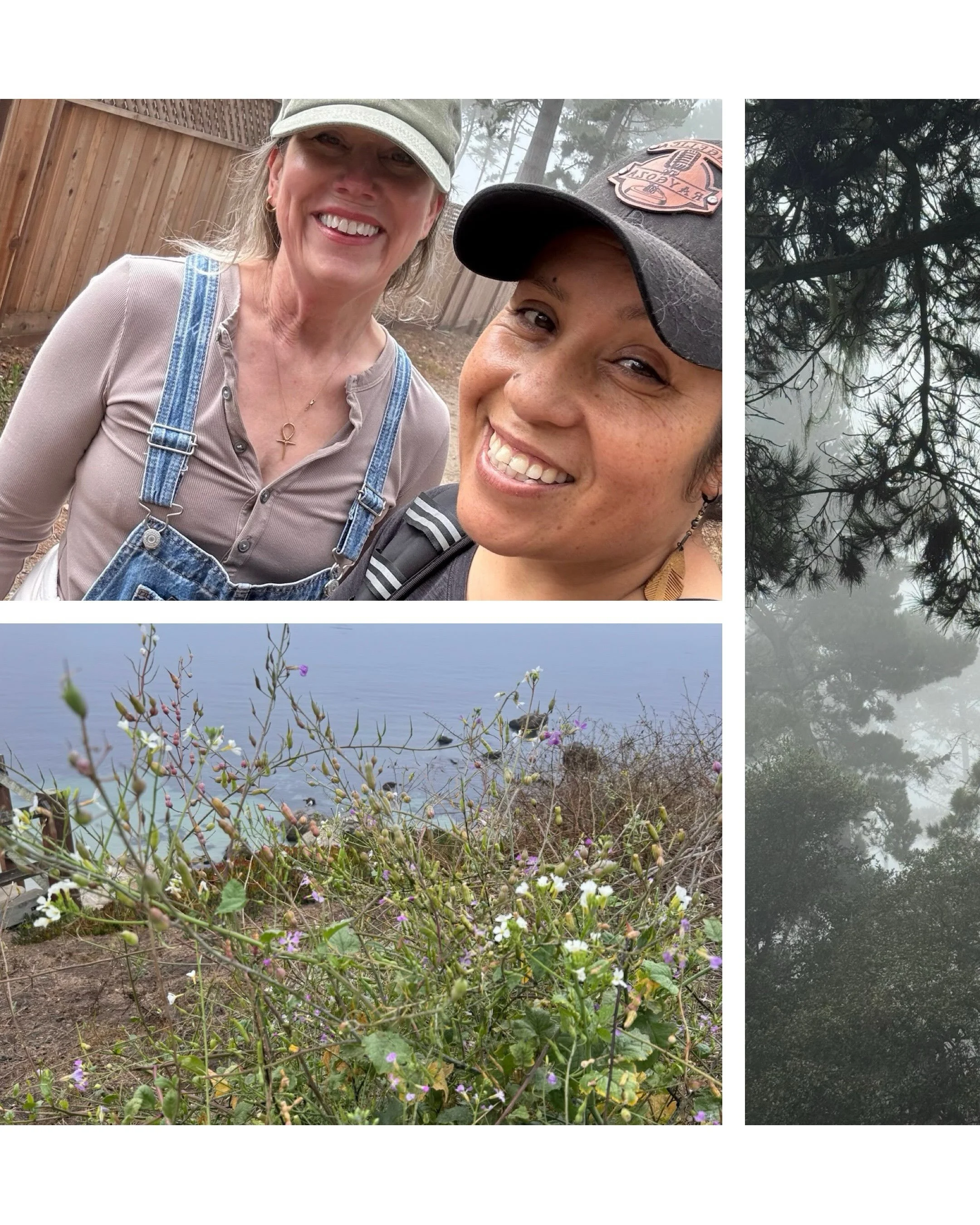 From foggy August mornings in Monterey + the best hikes with @angyraygoza 🩶✨
