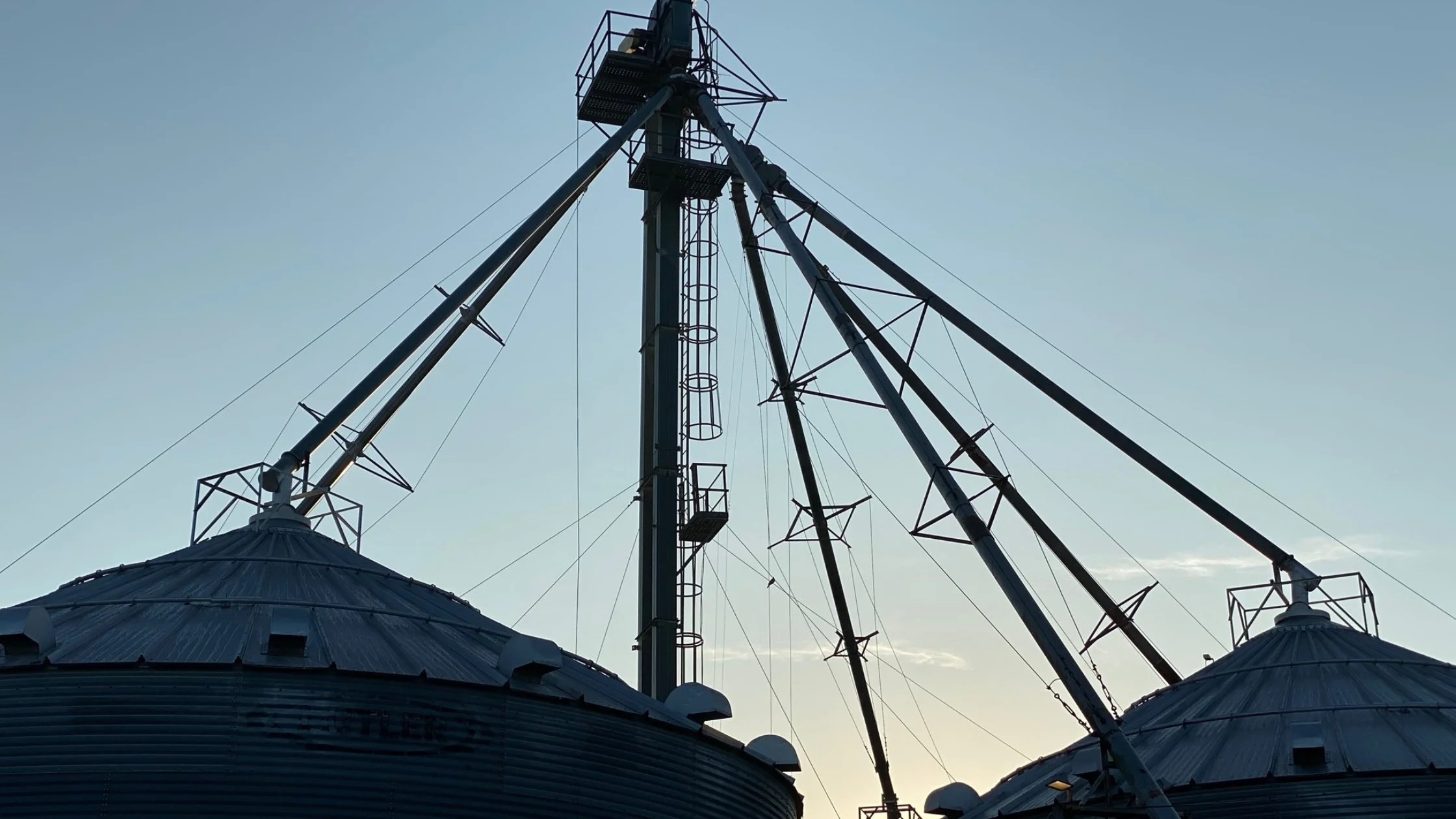 Navigating the World of Crop Consulting with Sterling Clifton