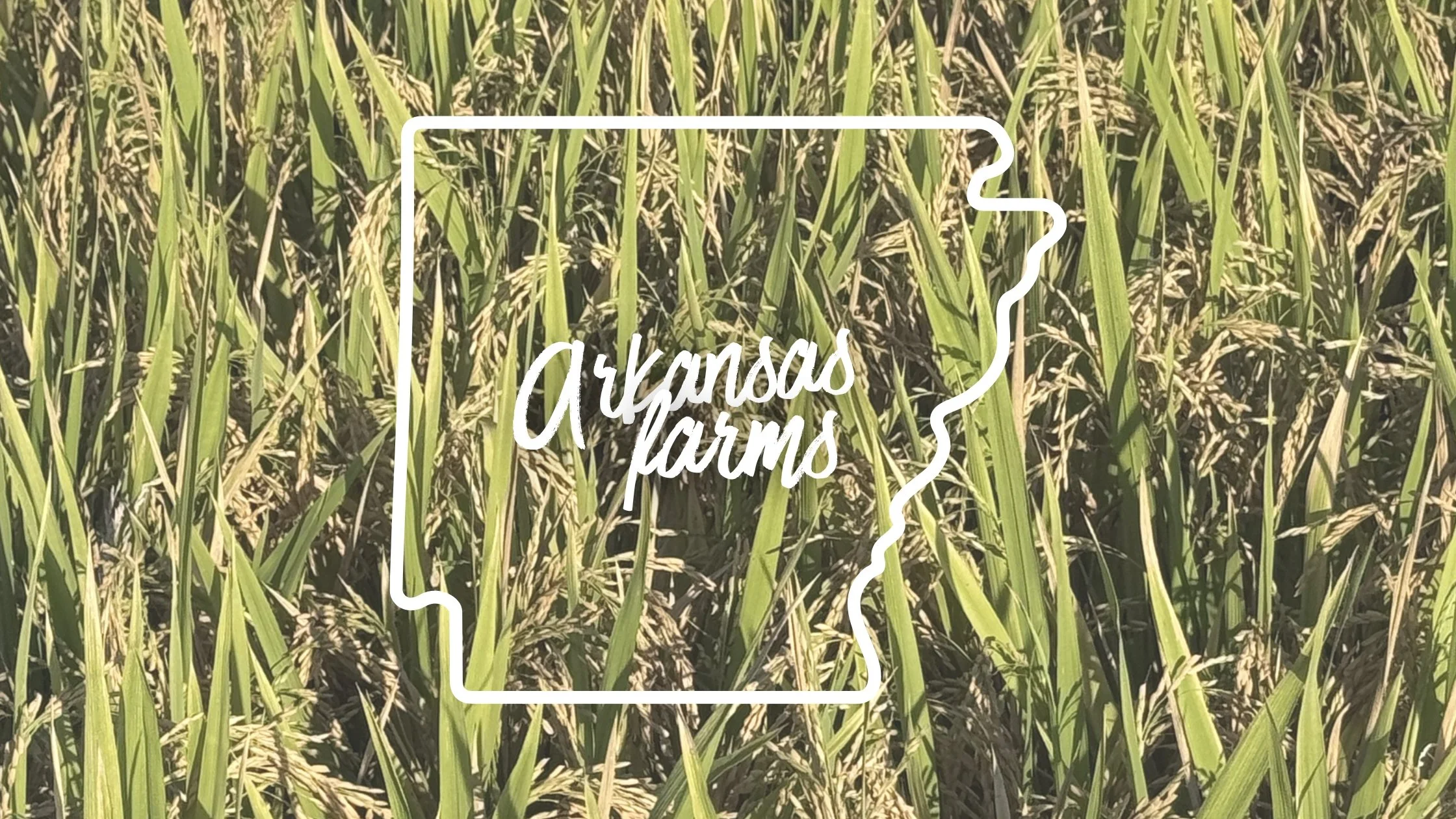 A Look Inside the Senate Ag Committee with Chairman John Boozman