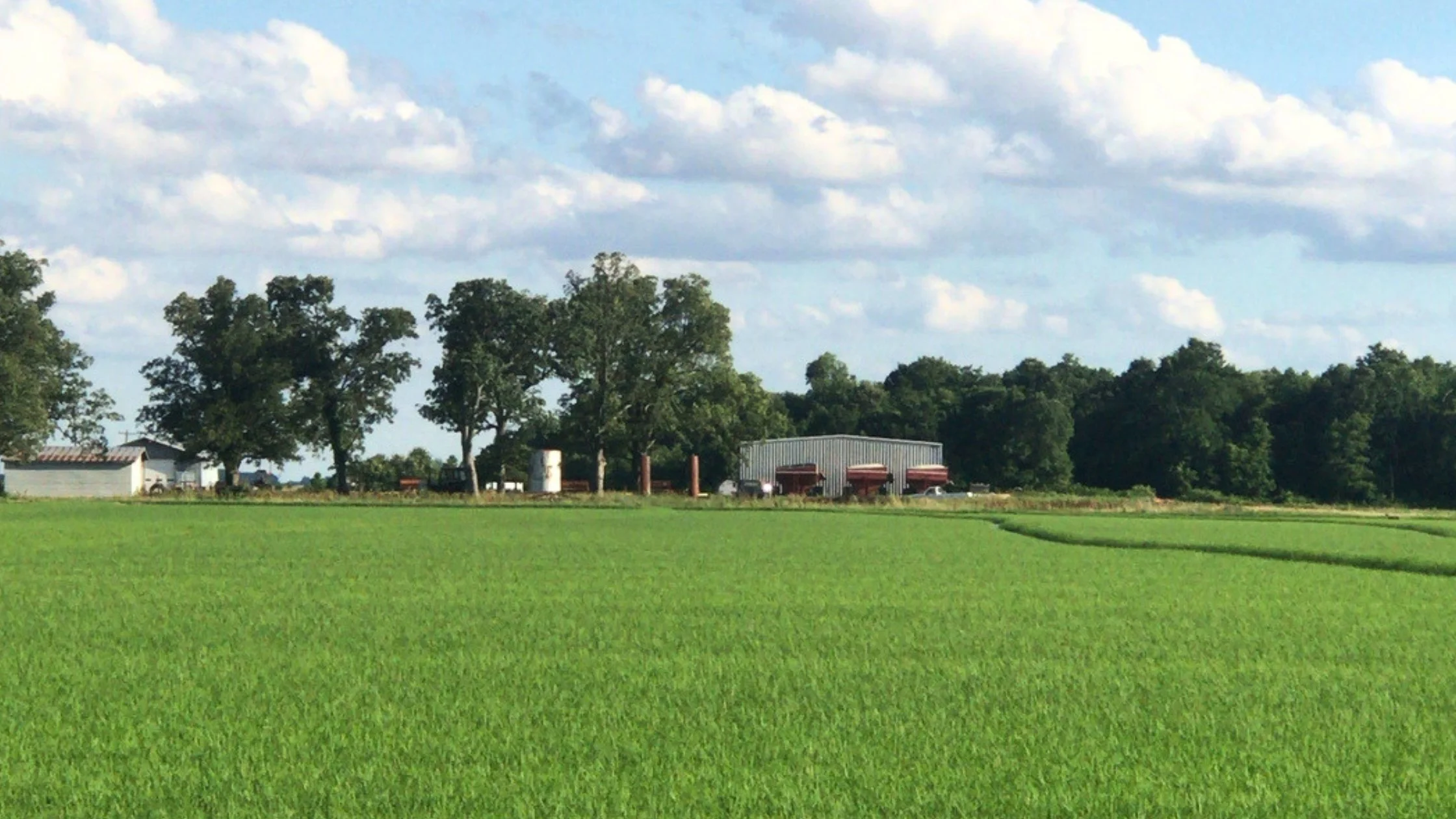 Raised to Lead: Legacy,  Family Business and Life in Agriculture