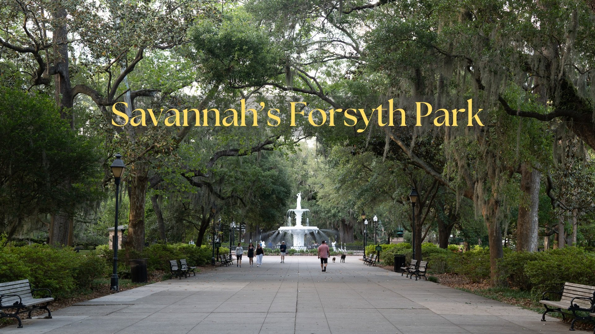 Savannah’s Forsyth Park - A Budget Must See