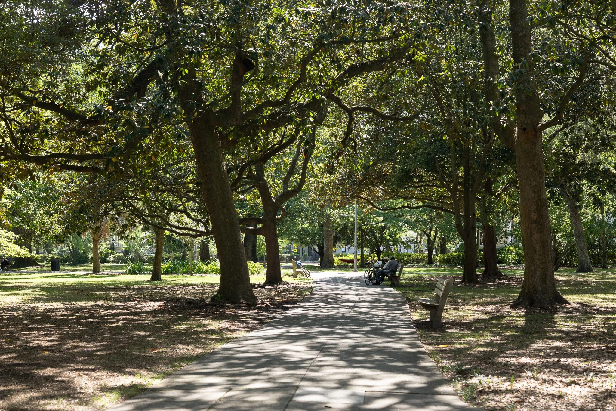 Northern part of Forsyth Park with overhanging trees