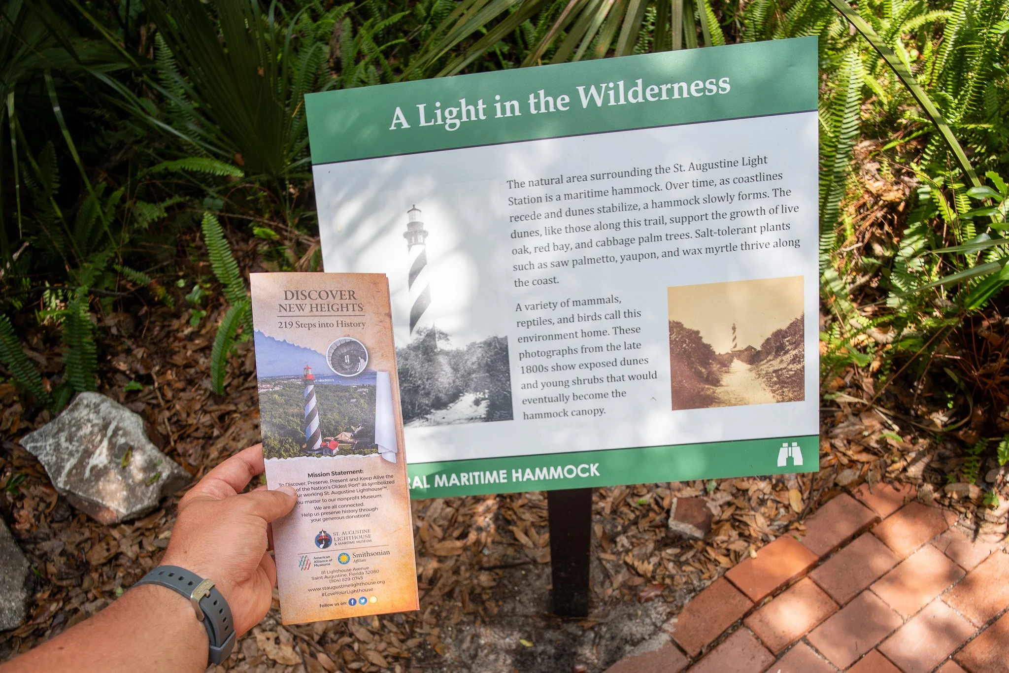 Saint Augustine Lighthouse Brochure