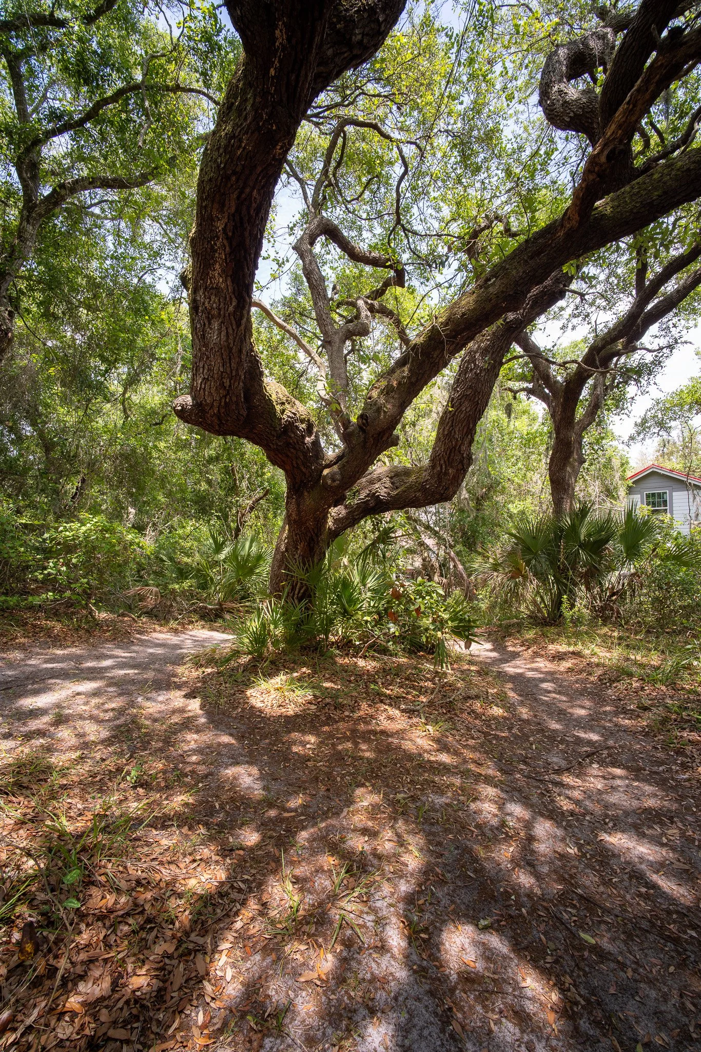 Saint Augustine Lighthouse Walking Trails