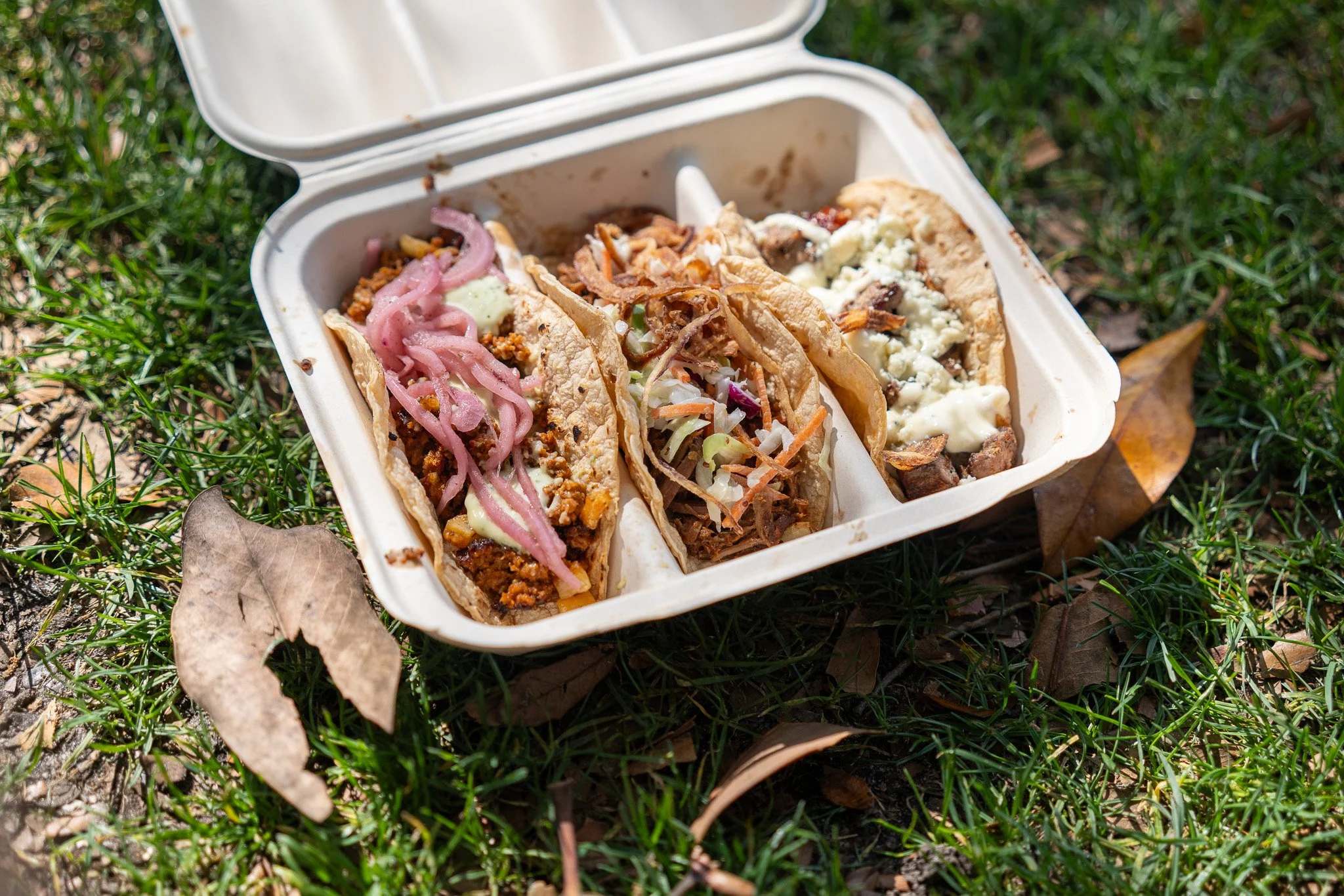 Tacos in Savannah Georgia
