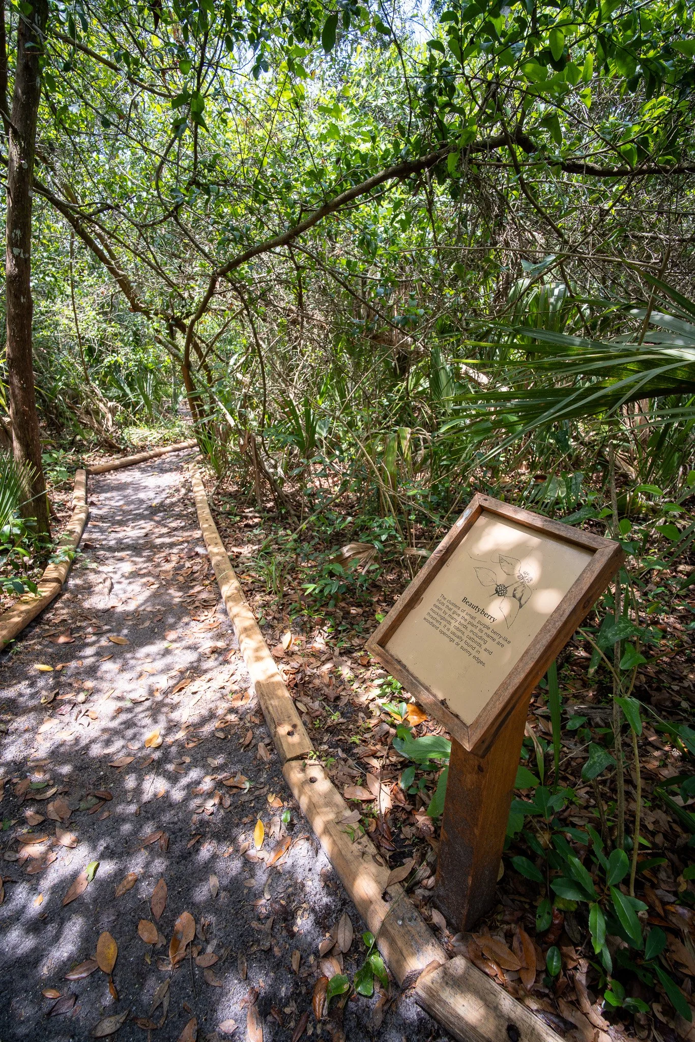 Saint Augustine Lighthouse Native Plant Sign