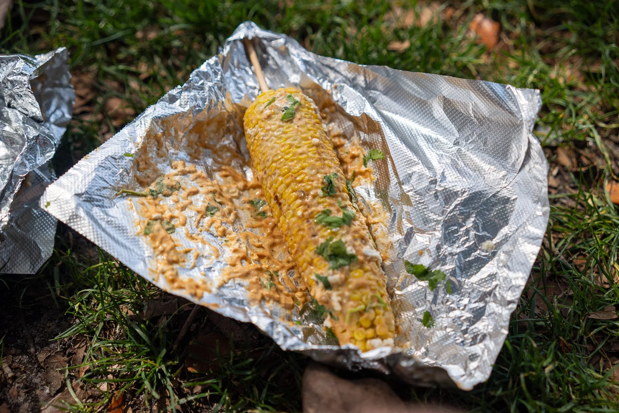 Mexican Street Corn in Savannah Georgia