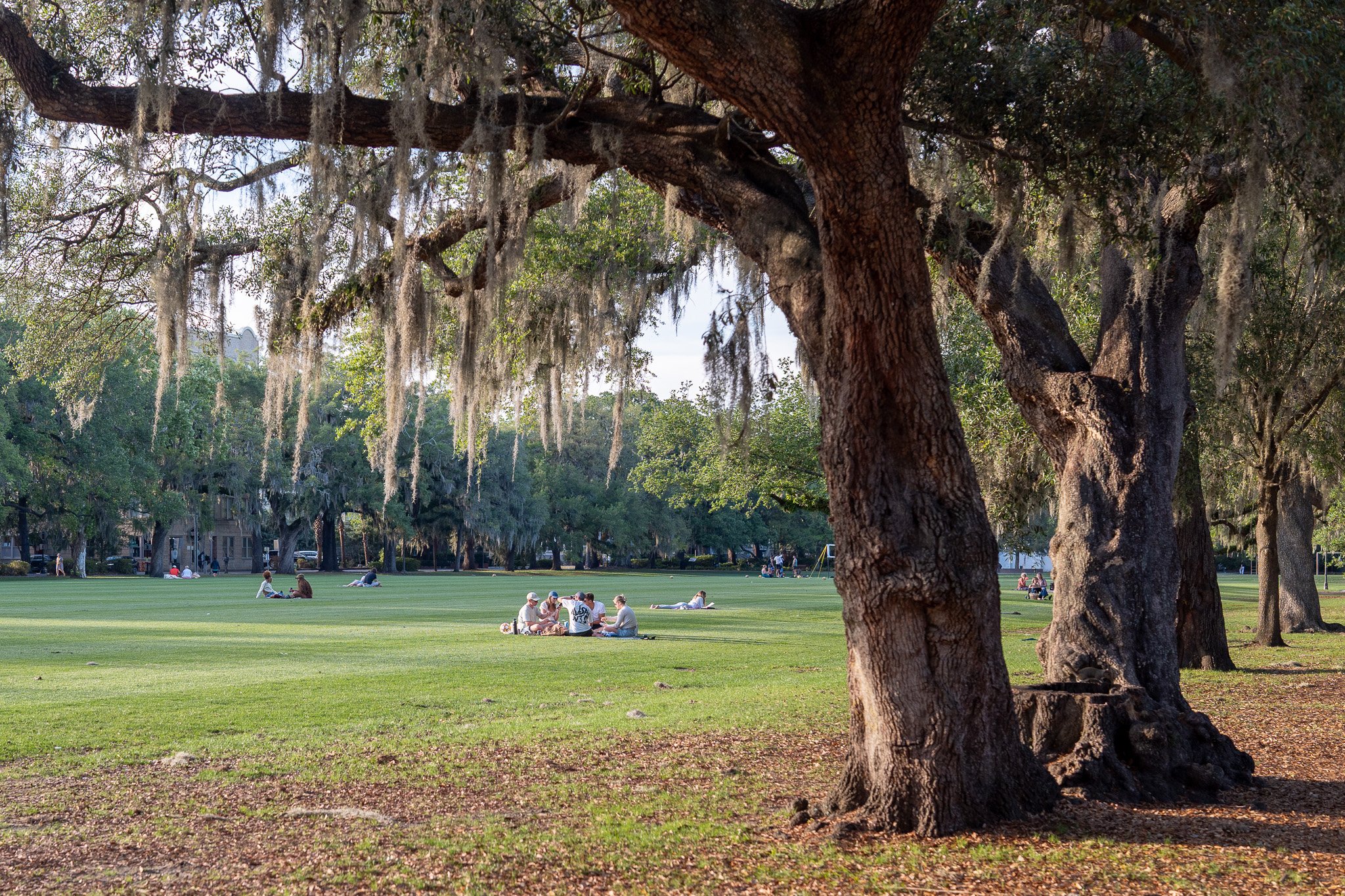 Forsyth Park Green Space and Field in the West of the Park