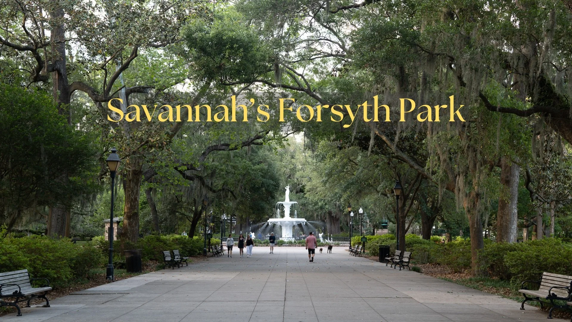 A visit and review of Forsyth Park in Savannah, GA