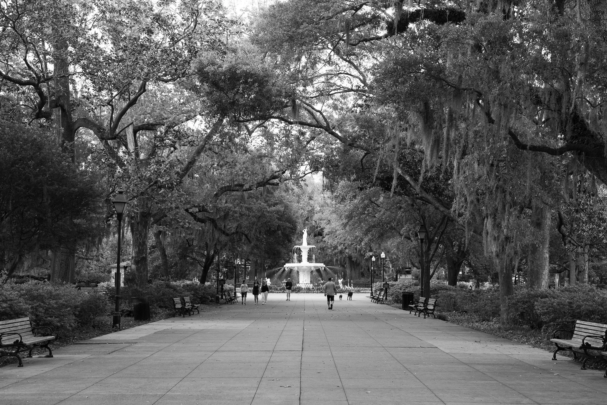 Forsyth Park Walkway and Fountain