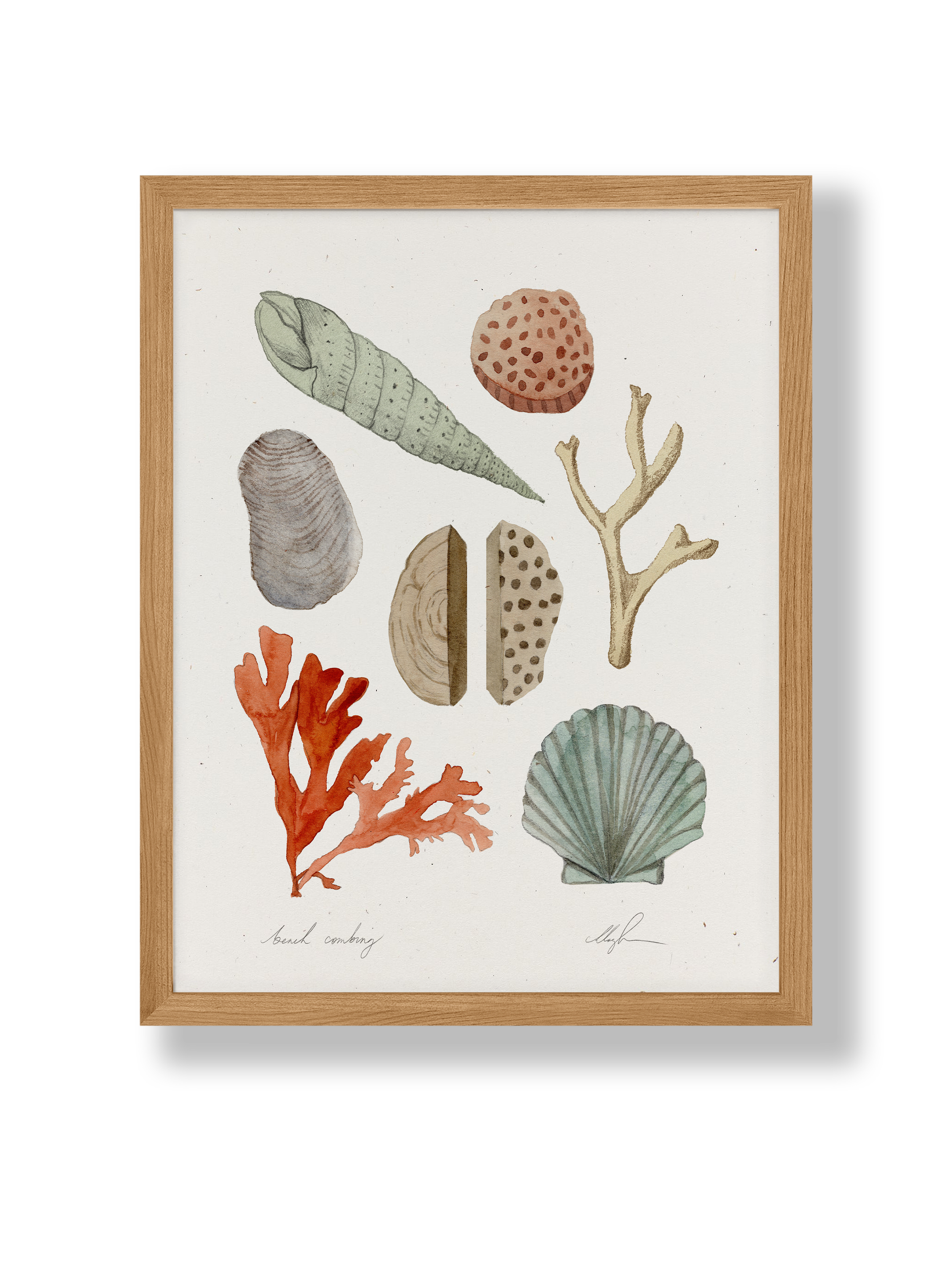 Beach Combing
