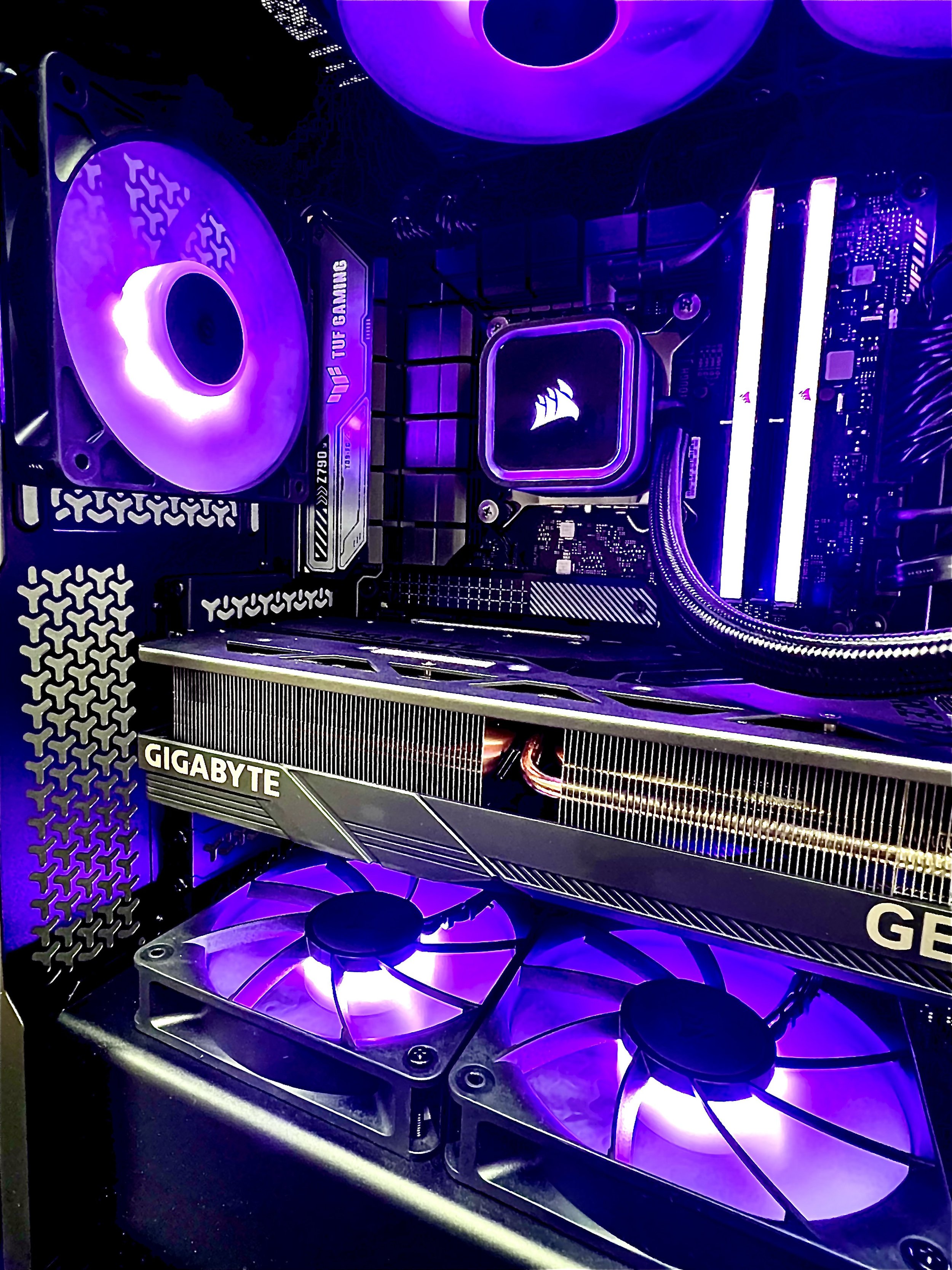 Purple-3.jpg