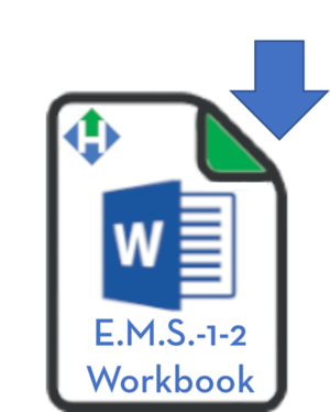 WORD+EMS-1-2.png