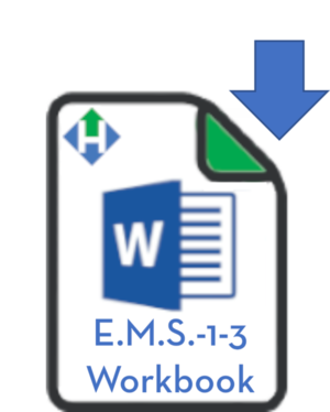 word+ems-1-3.png