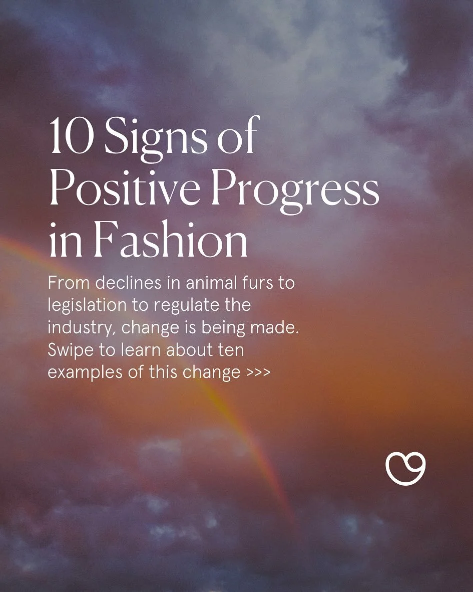 My latest column for @goodonyou_app is out now! My attempt to shine a light on positive progress in dark times. To mark Good on You&rsquo;s 10 years anniversary, I found 10 tangible ways the sustainable fashion movement has made strides in the last 1