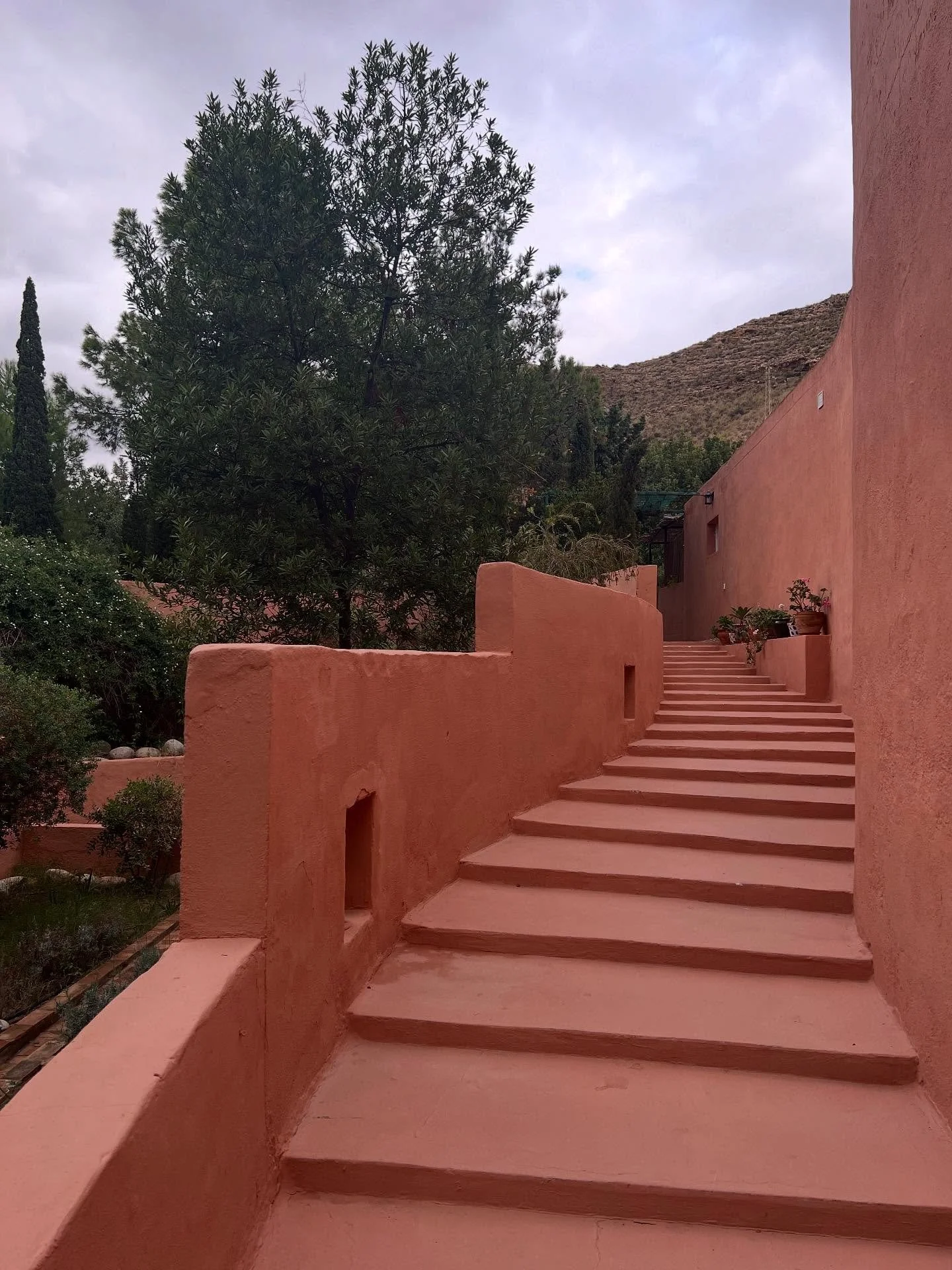 The best way to end October - escaping to the South of Spain just as the UK gets very cold and very dark☀️🌴🧘&zwj;♀️Thank you @annieyogalondon for hosting this beautiful yoga retreat at Finca del Alamo💗