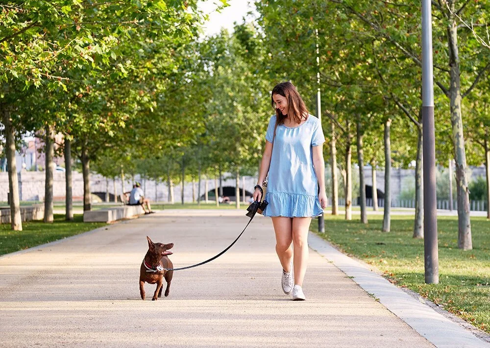 A woman walks a brown dog along a tree-lined park path.