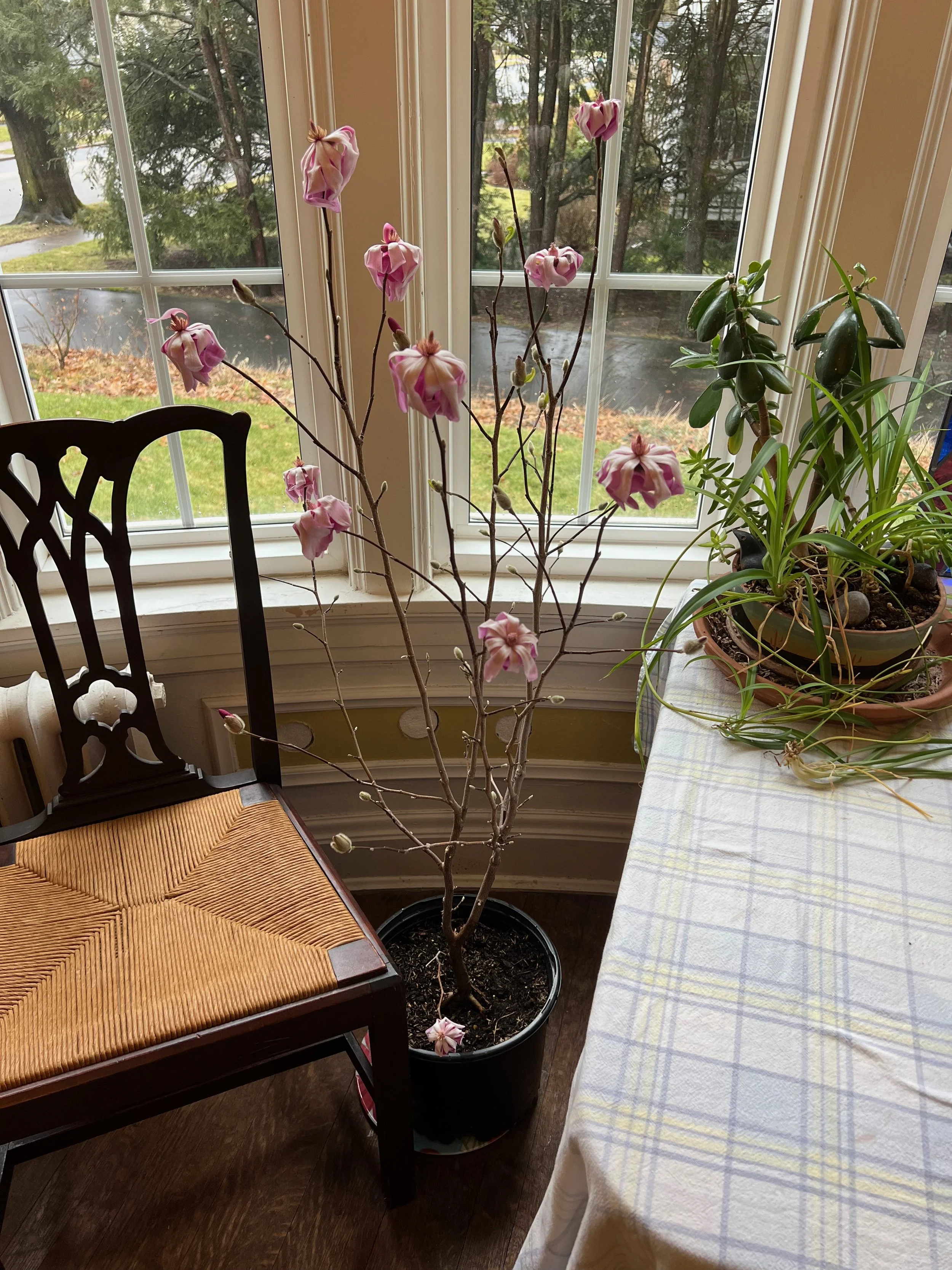 You Will Have Trouble