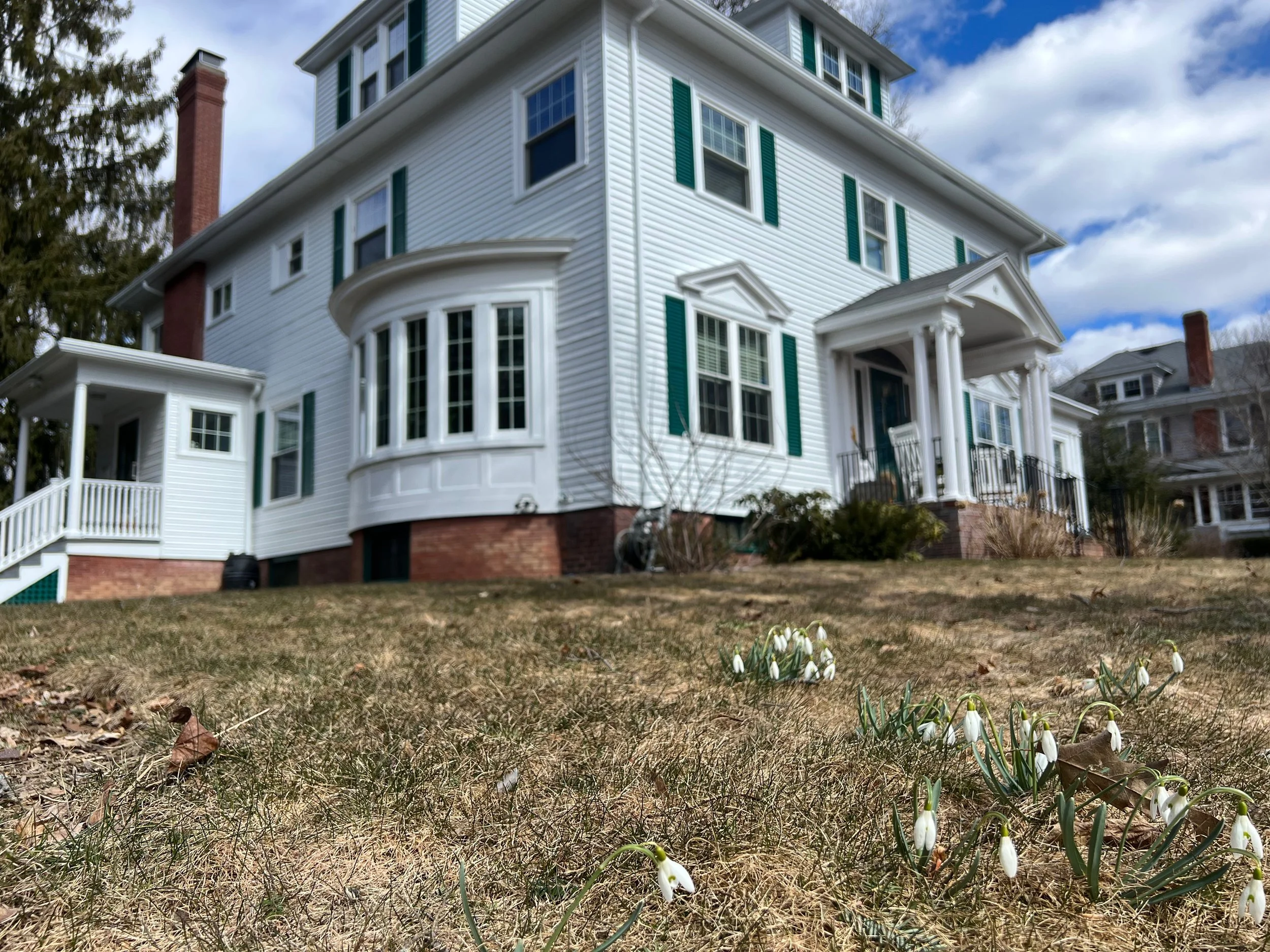 self-fulfilling prophecy