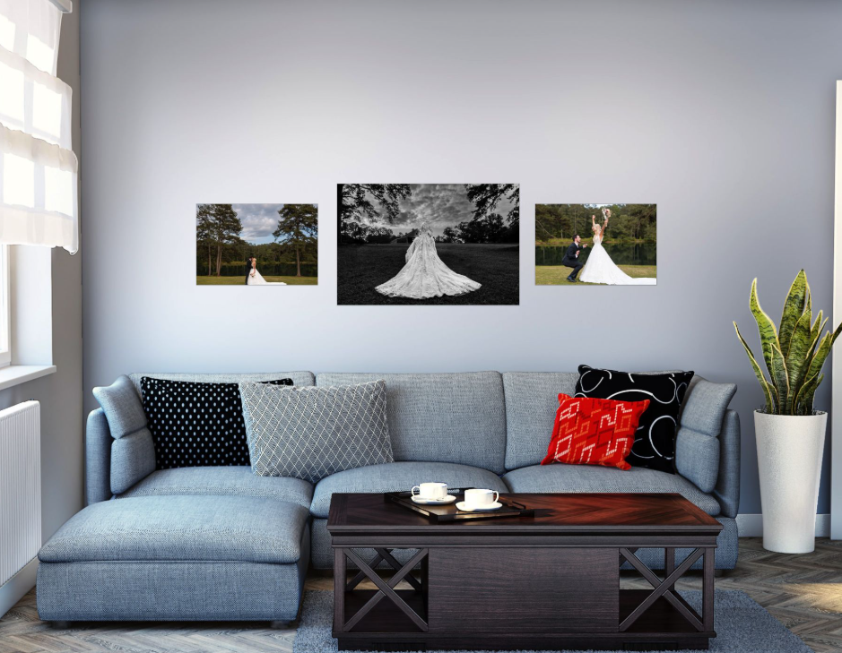 Living room with a gray sectional sofa with four decorative pillows, a wooden coffee table with two cups, a tall potted snake plant, and three wedding photos on the light blue wall.