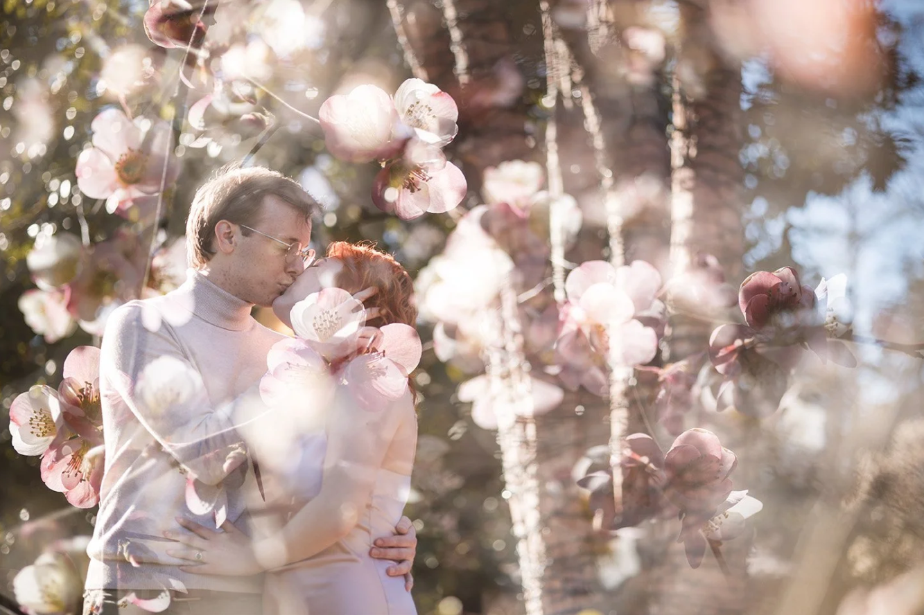 A romantic couple embracing and kissing among pink cherry blossoms with sunlight filtering through the trees.