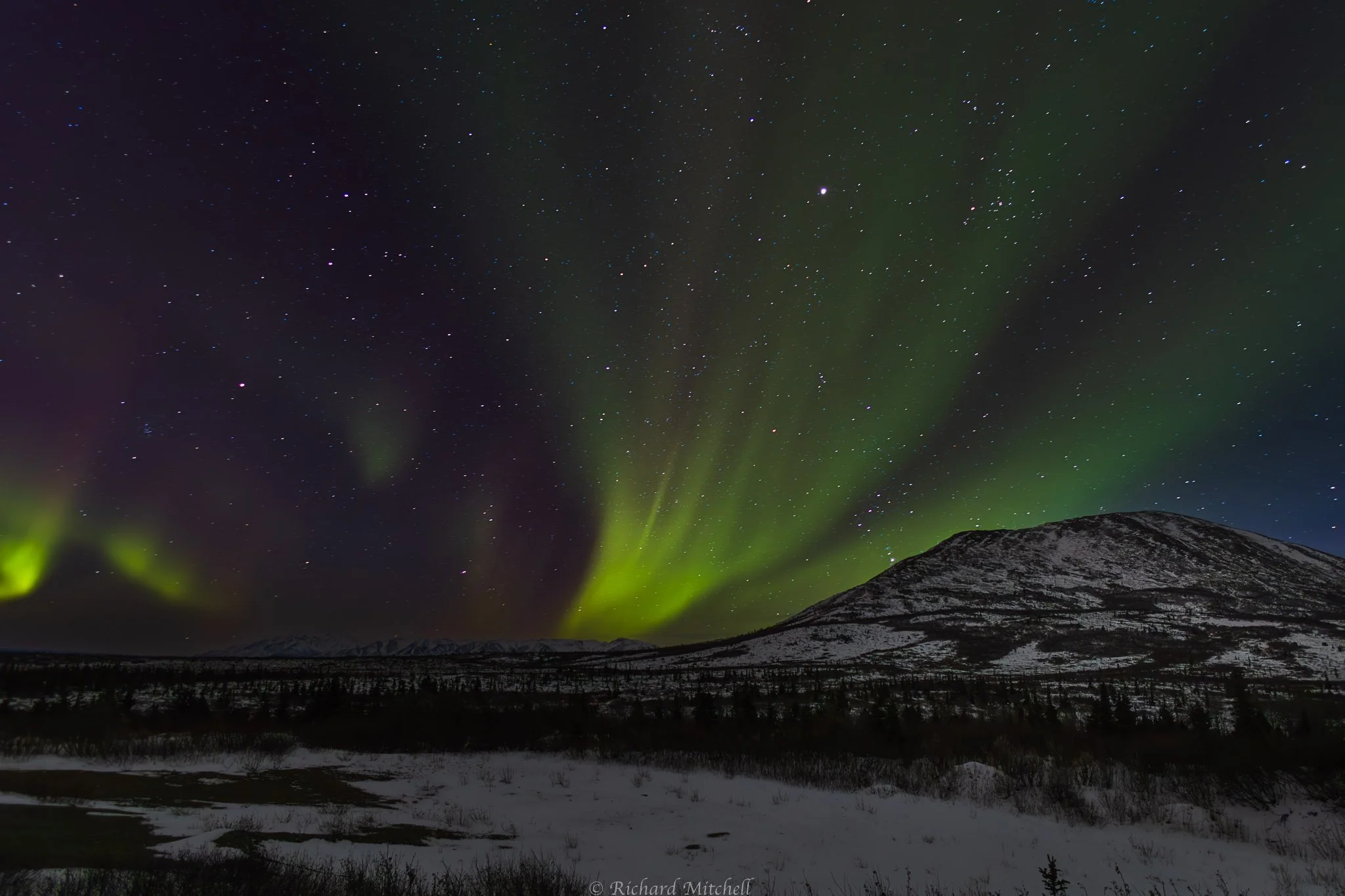 Northern Lights by Donnily Dome