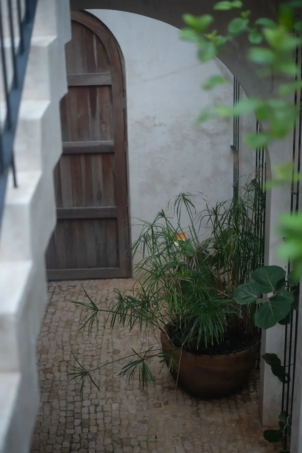 Interior courtyard with a wooden arched door, potted plants, and a tiled floor, viewed from above.