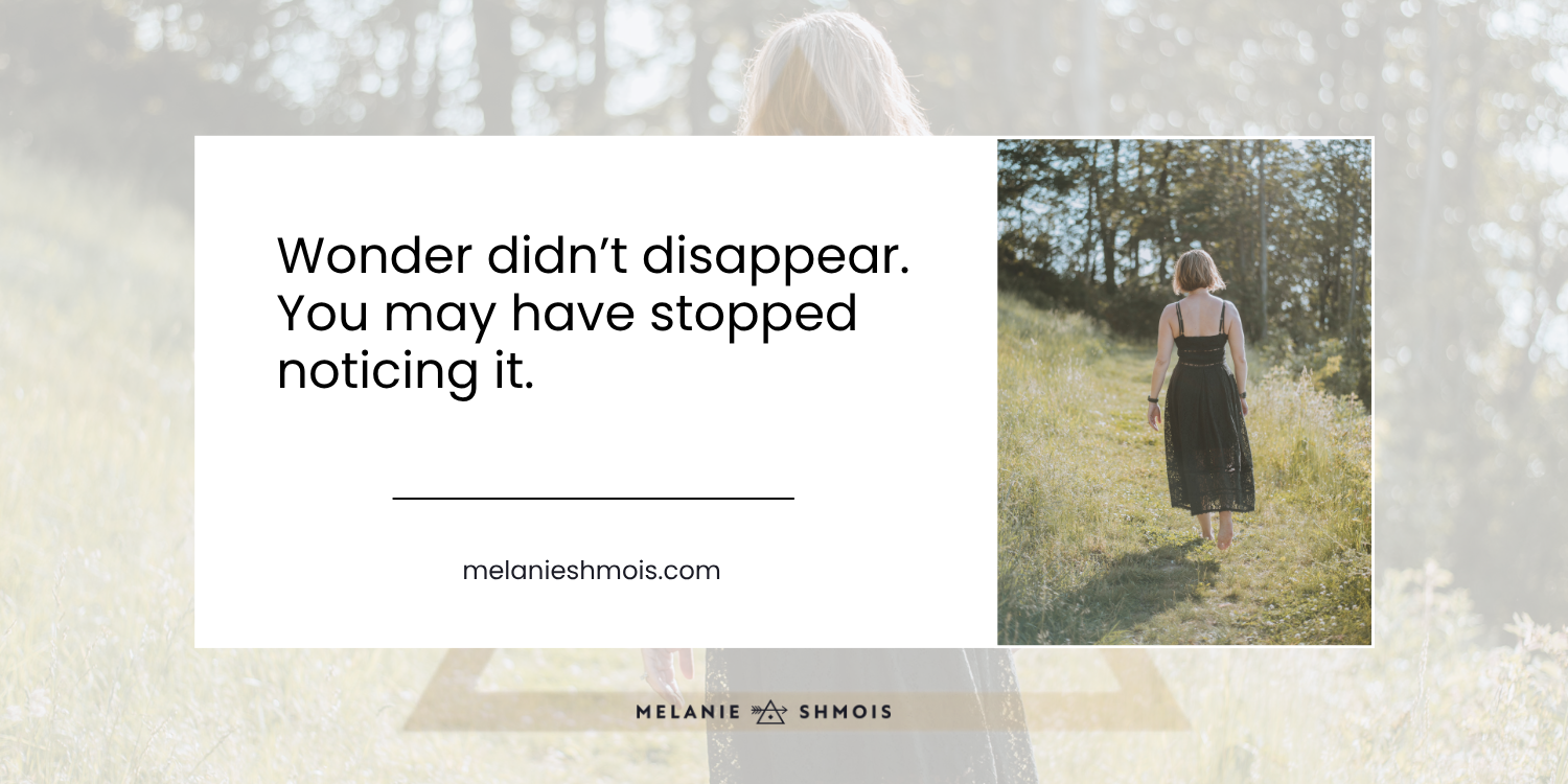A woman in a black sundress walking barefoot in high grass with a blog title "Wonder didn’t disappear. You may have stopped noticing it."