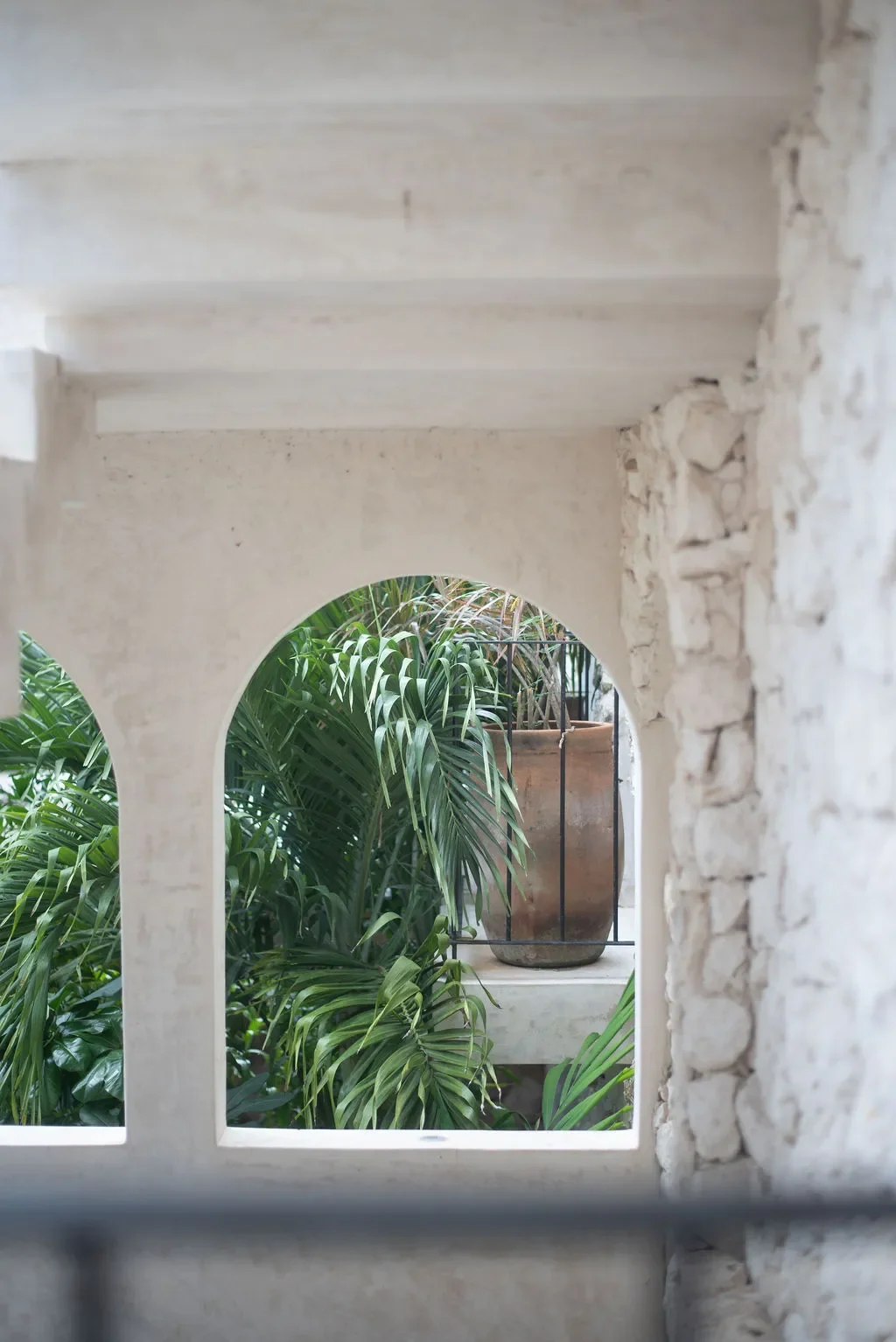 View through an arched opening in a white textured wall showing green plants and a large potted plant outside.
