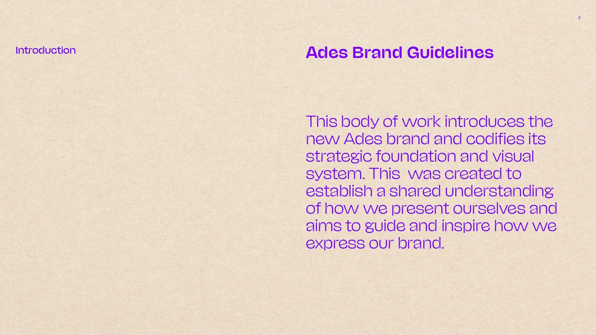 Ades_BrandGuidelines_220727 TS2.jpg
