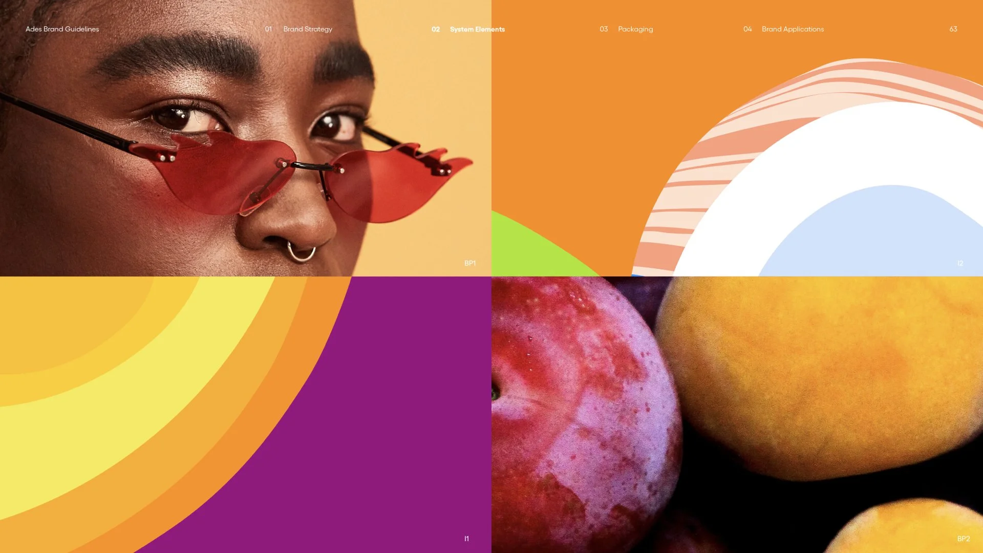 Ades_BrandGuidelines_220901.063.jpeg