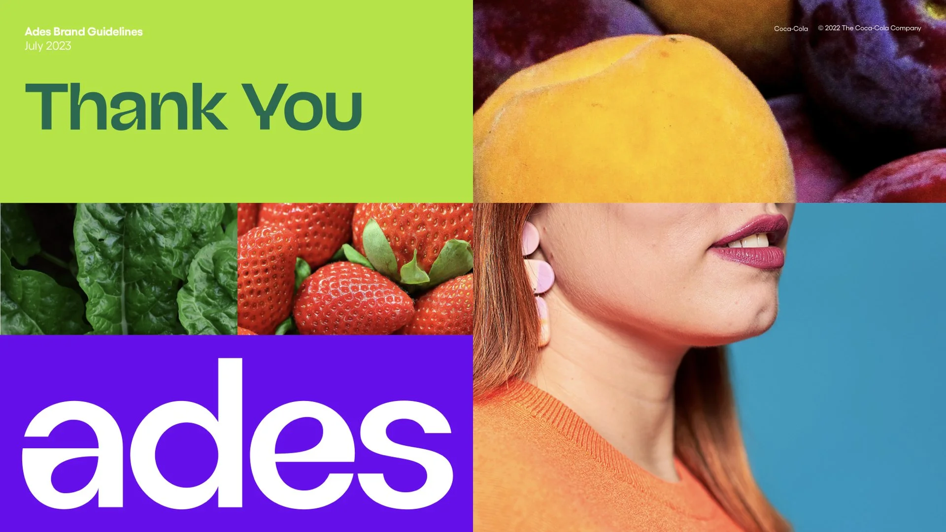 Ades_BrandGuidelines_220901.091.jpeg