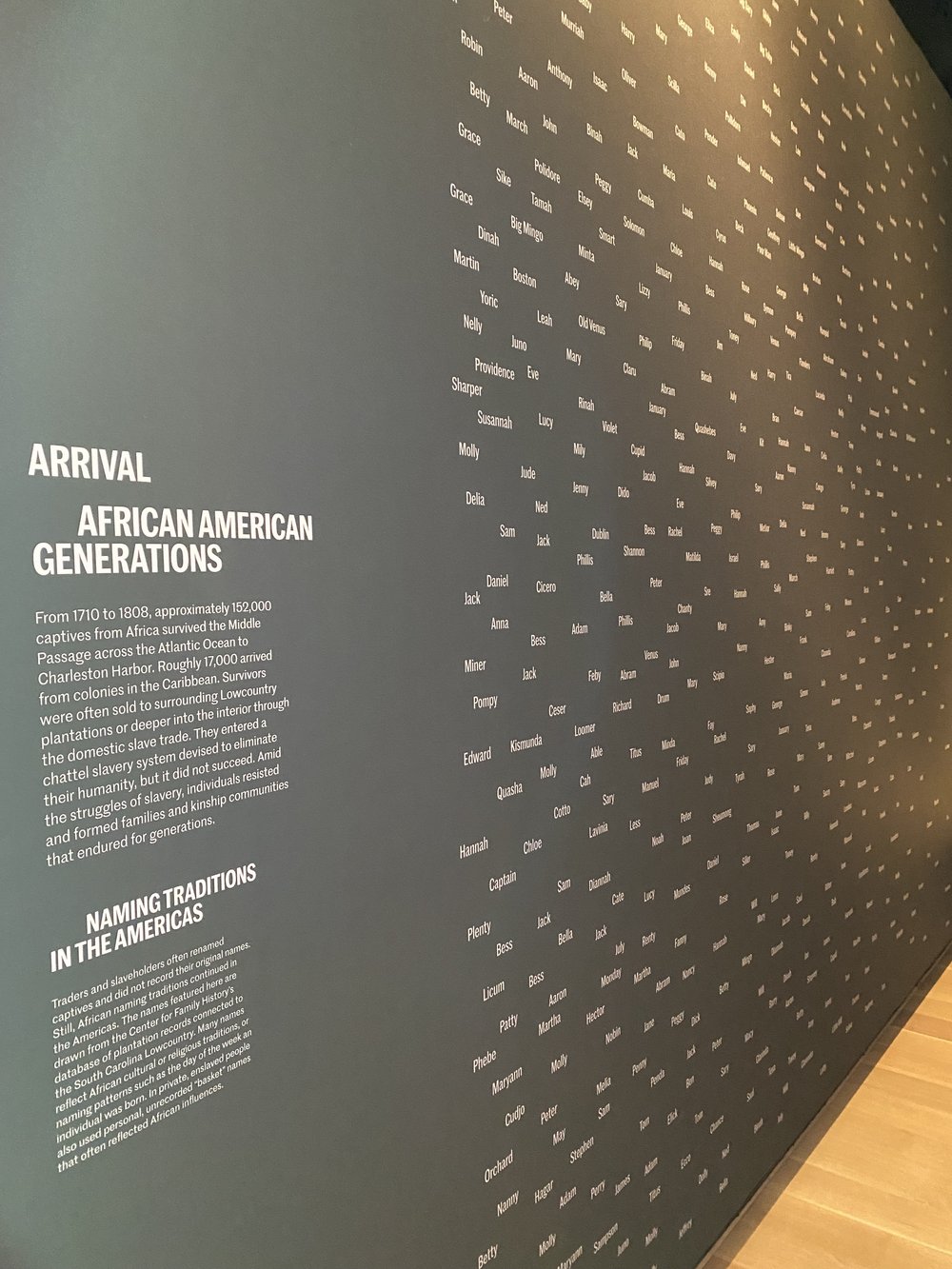 &lt;em&gt;Displayed are the names given to captive Africans by the traders and slaveholders.&lt;/em&gt;